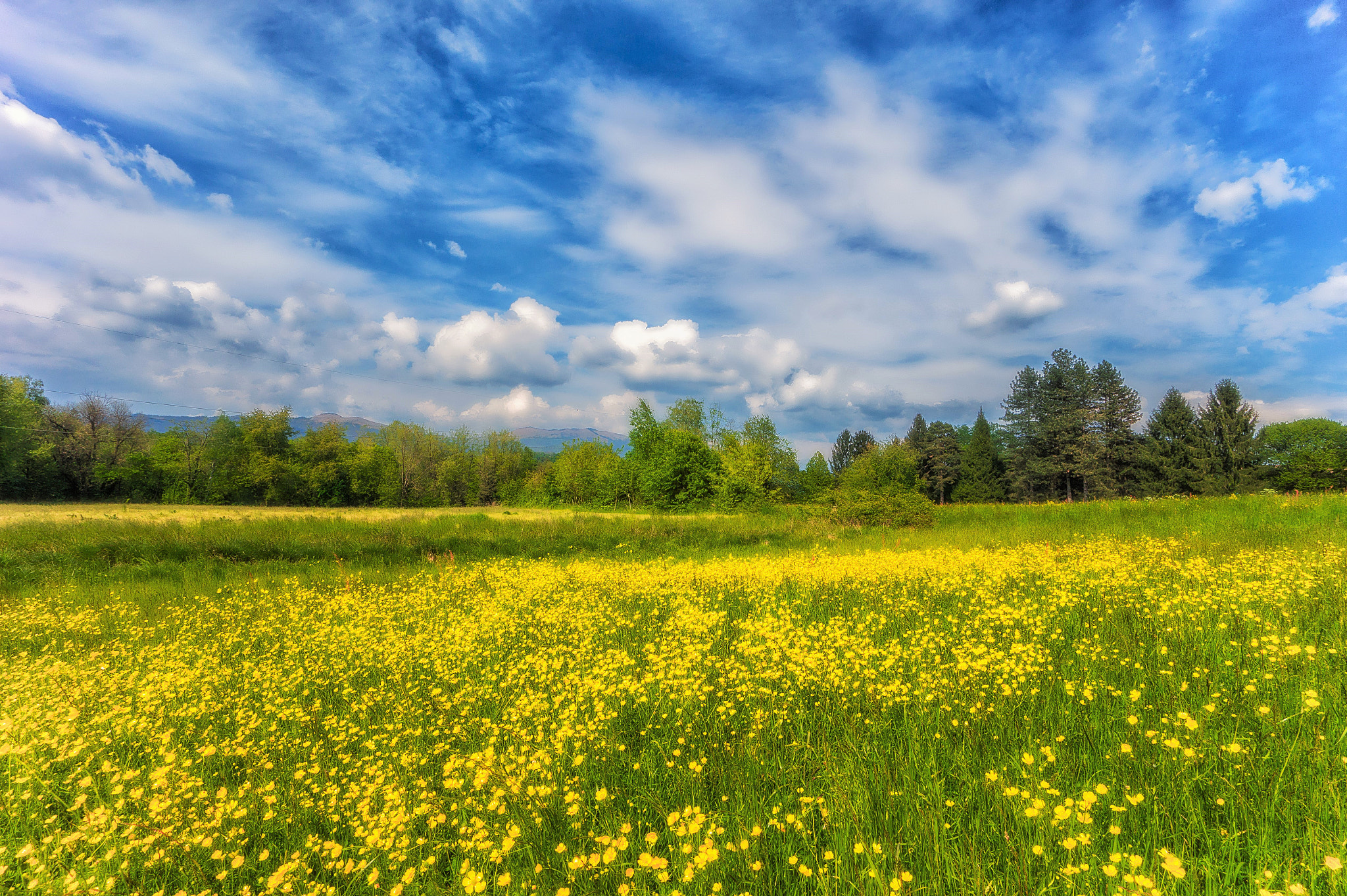 Sony Alpha a5000 (ILCE 5000) + Sony E 10-18mm F4 OSS sample photo. No shelter nowhere photography