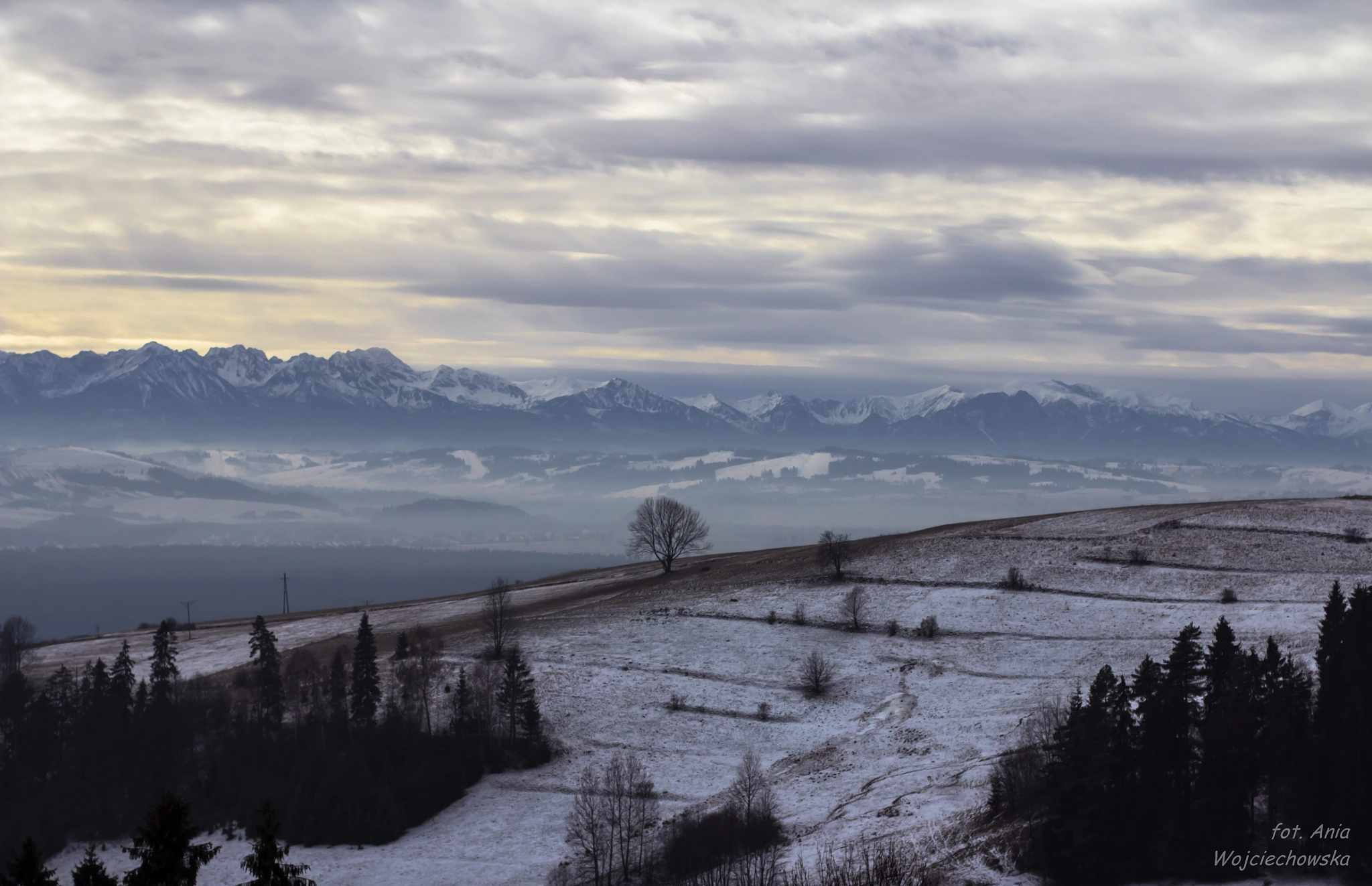 Canon EOS 600D (Rebel EOS T3i / EOS Kiss X5) + Canon EF 50mm F1.4 USM sample photo. Poland, the tatras photography