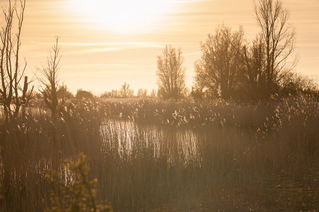 Nikon D3X sample photo. Landscape photography