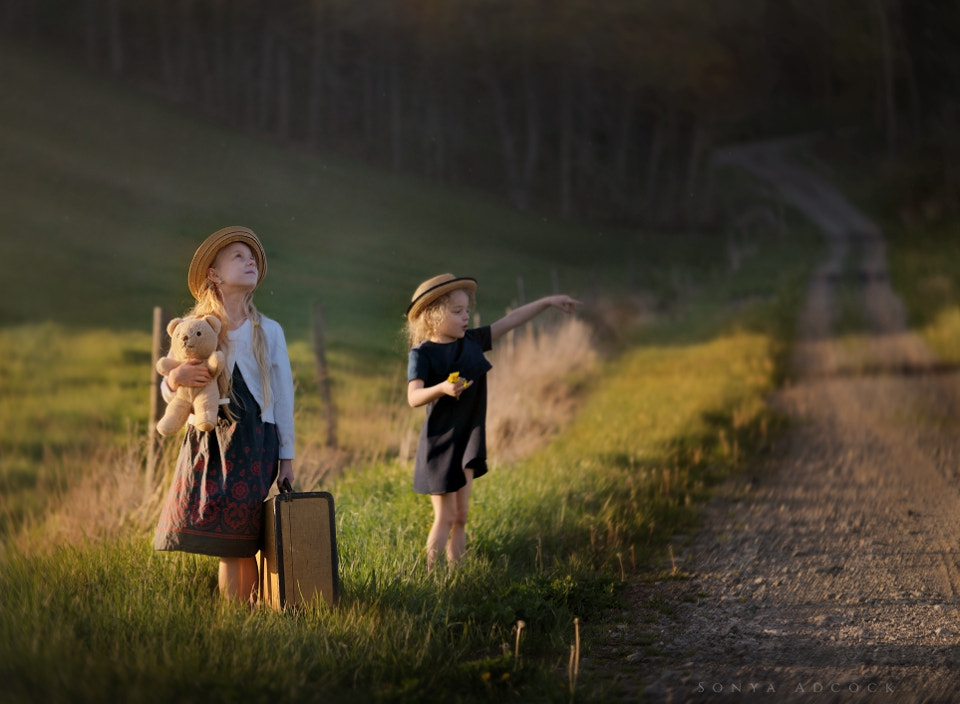 Nikon AF Nikkor 105mm F2D DC sample photo. Show us the way photography