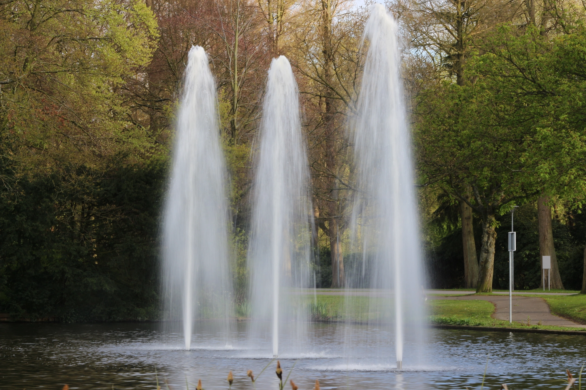 Sigma 70-300mm F4-5.6 APO DG Macro sample photo. Den haag zuiderpark photography