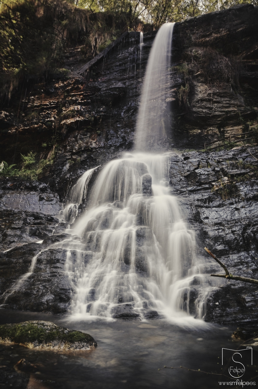 Sigma 17-70mm F2.8-4 DC Macro OS HSM | C sample photo. Fervenza photography