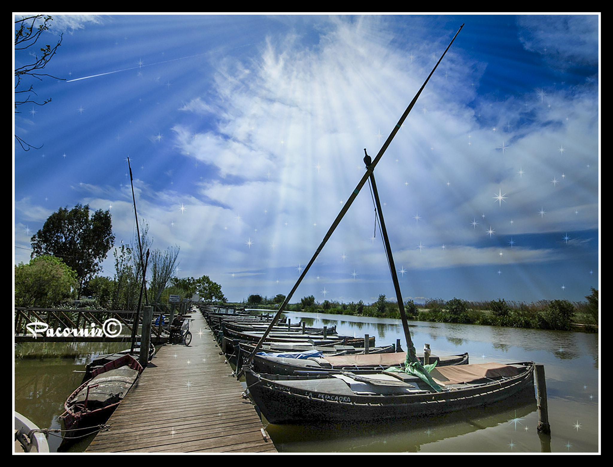 Sigma 10-20mm F4-5.6 EX DC HSM sample photo. Olympus digital camera photography