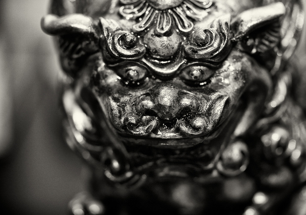 Canon EF-S 60mm F2.8 Macro USM sample photo. Chinese dragon photography