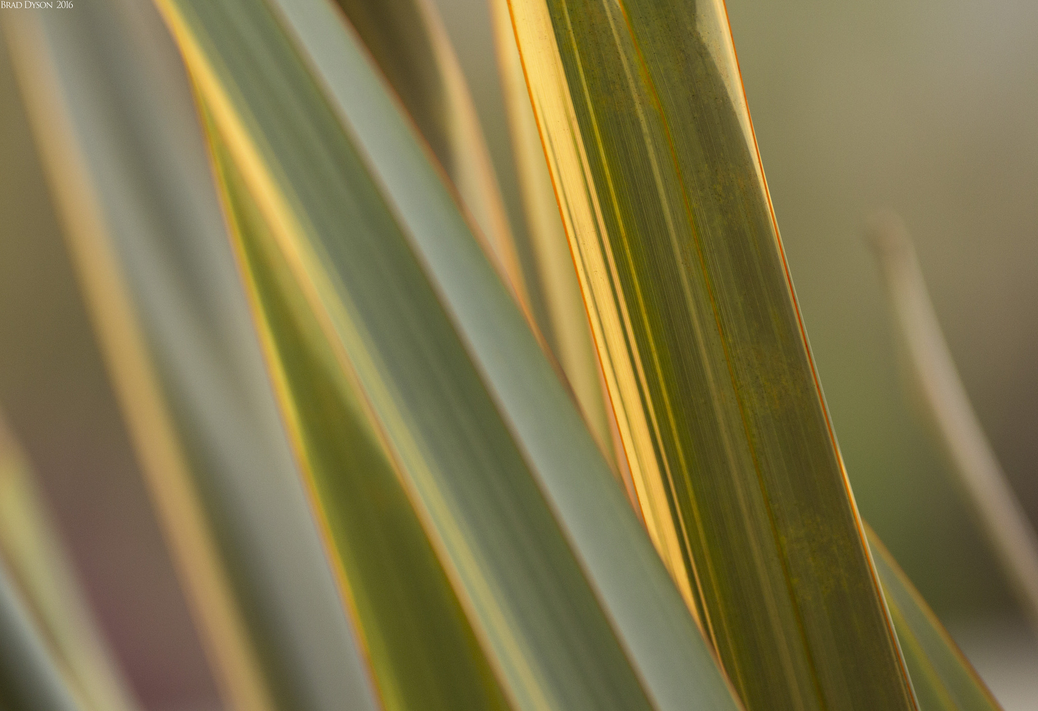 Sigma 150-600mm F5-6.3 DG OS HSM | C sample photo