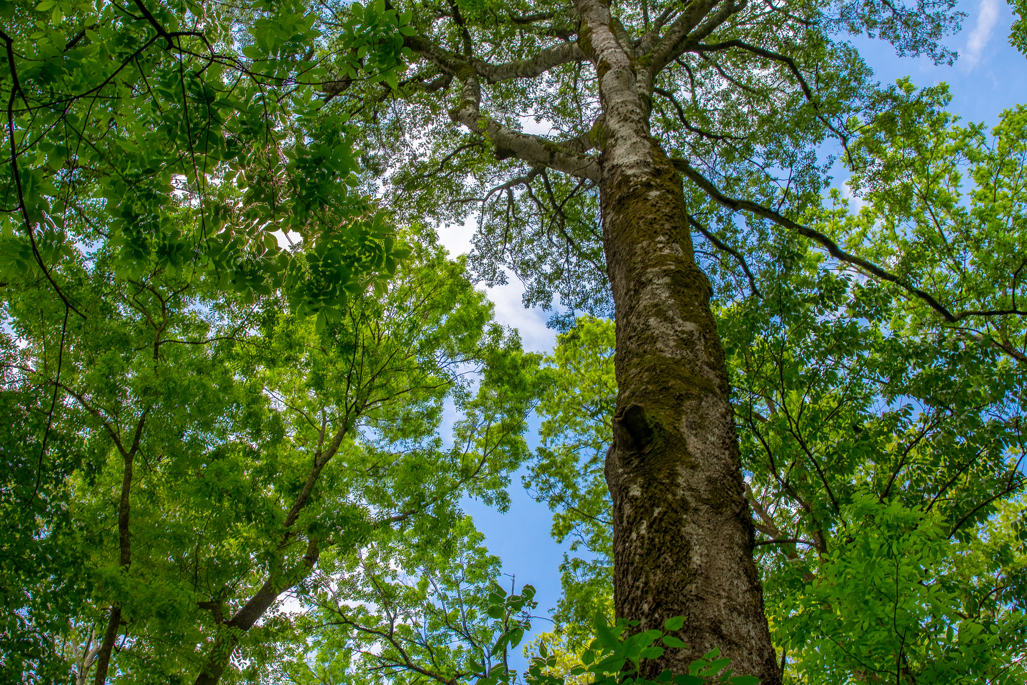 Canon EOS 650D (EOS Rebel T4i / EOS Kiss X6i) sample photo. Hdr photography