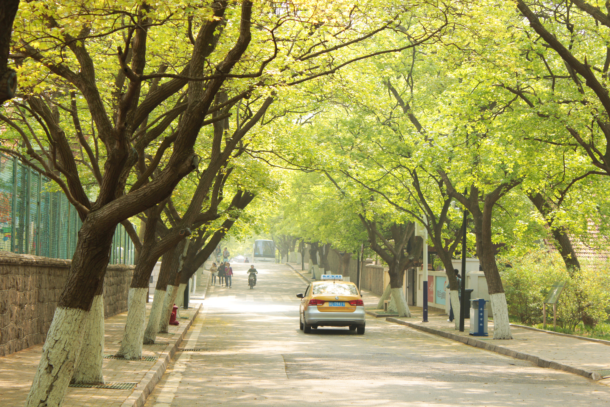 Canon EF-S 18-55mm F3.5-5.6 IS II sample photo. 青岛八大关景区。 badaguan in qingdao. photography
