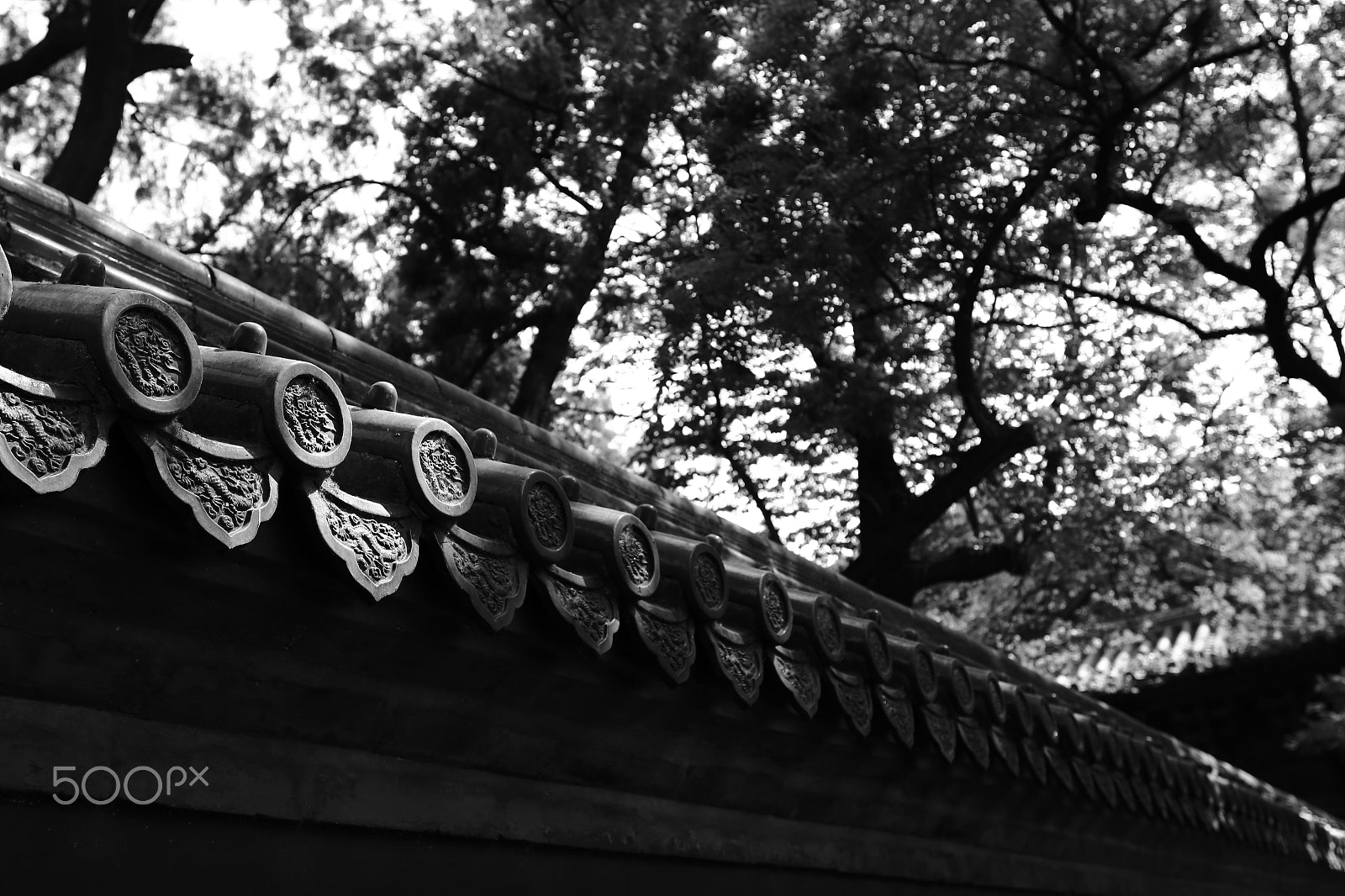 Canon EF 24mm F1.4L II USM sample photo. Street view photography