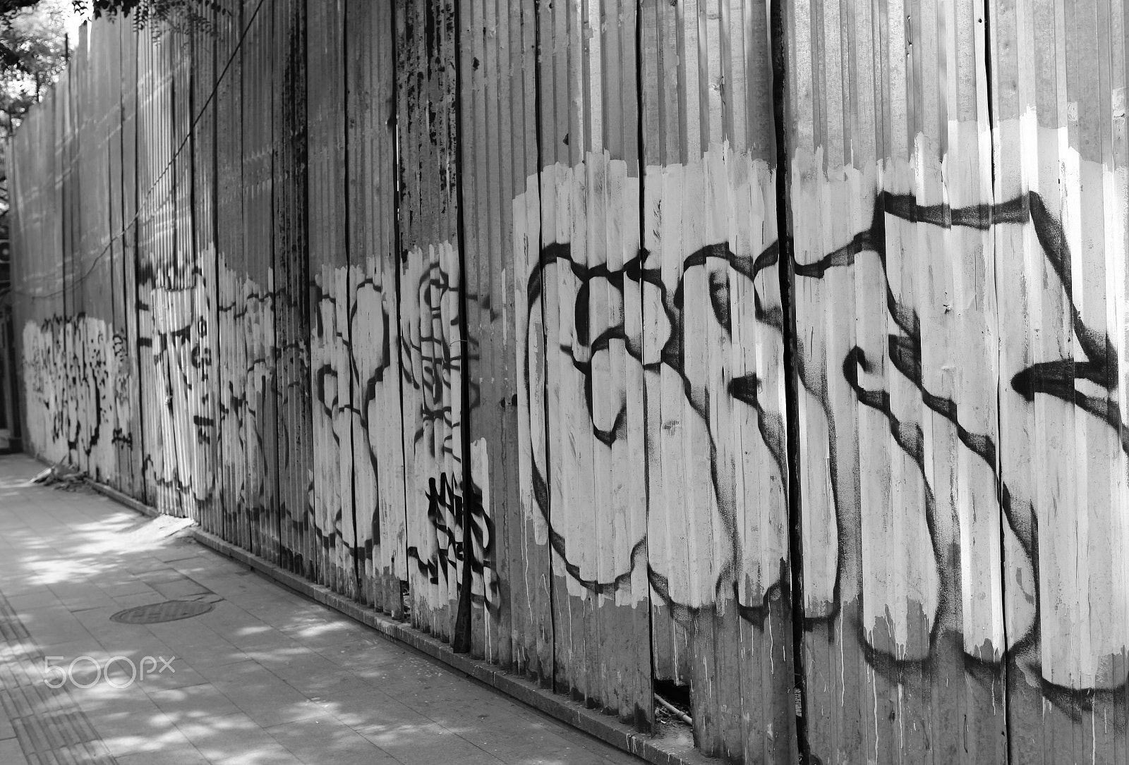Canon EF 24mm F1.4L II USM sample photo. Street view photography