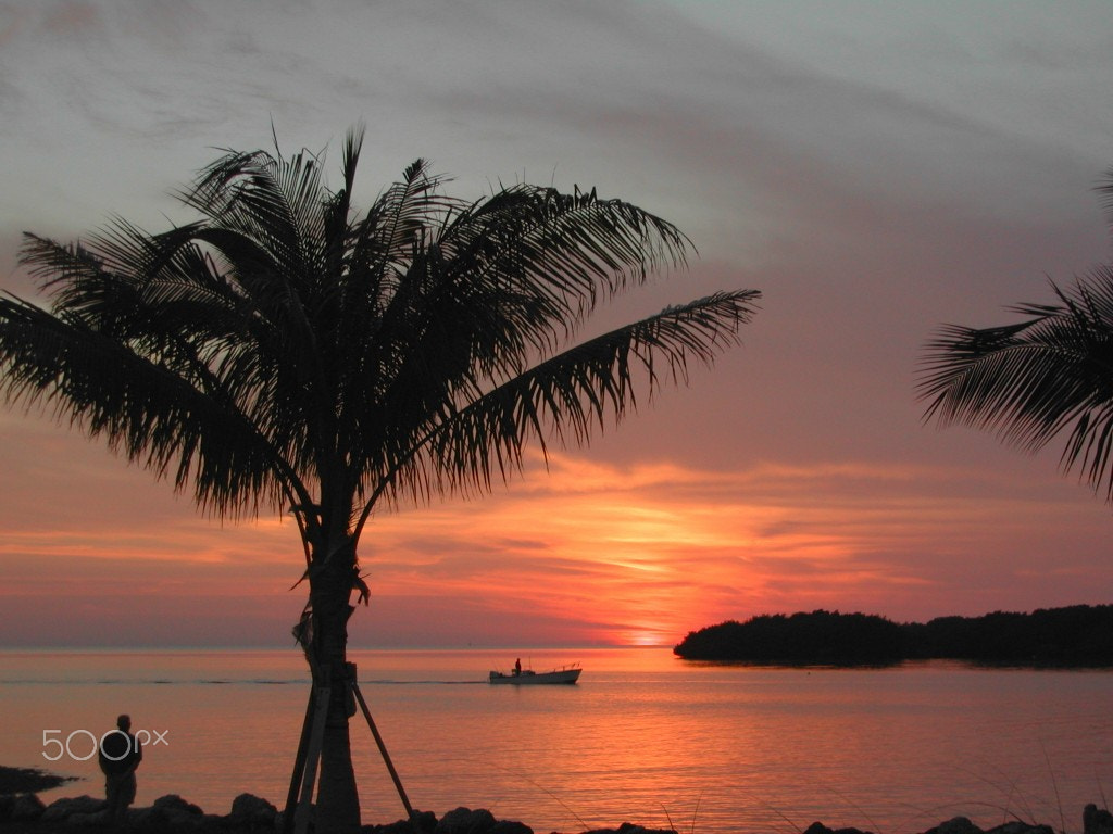 Nikon E885 sample photo. Florida keys at sunset photography