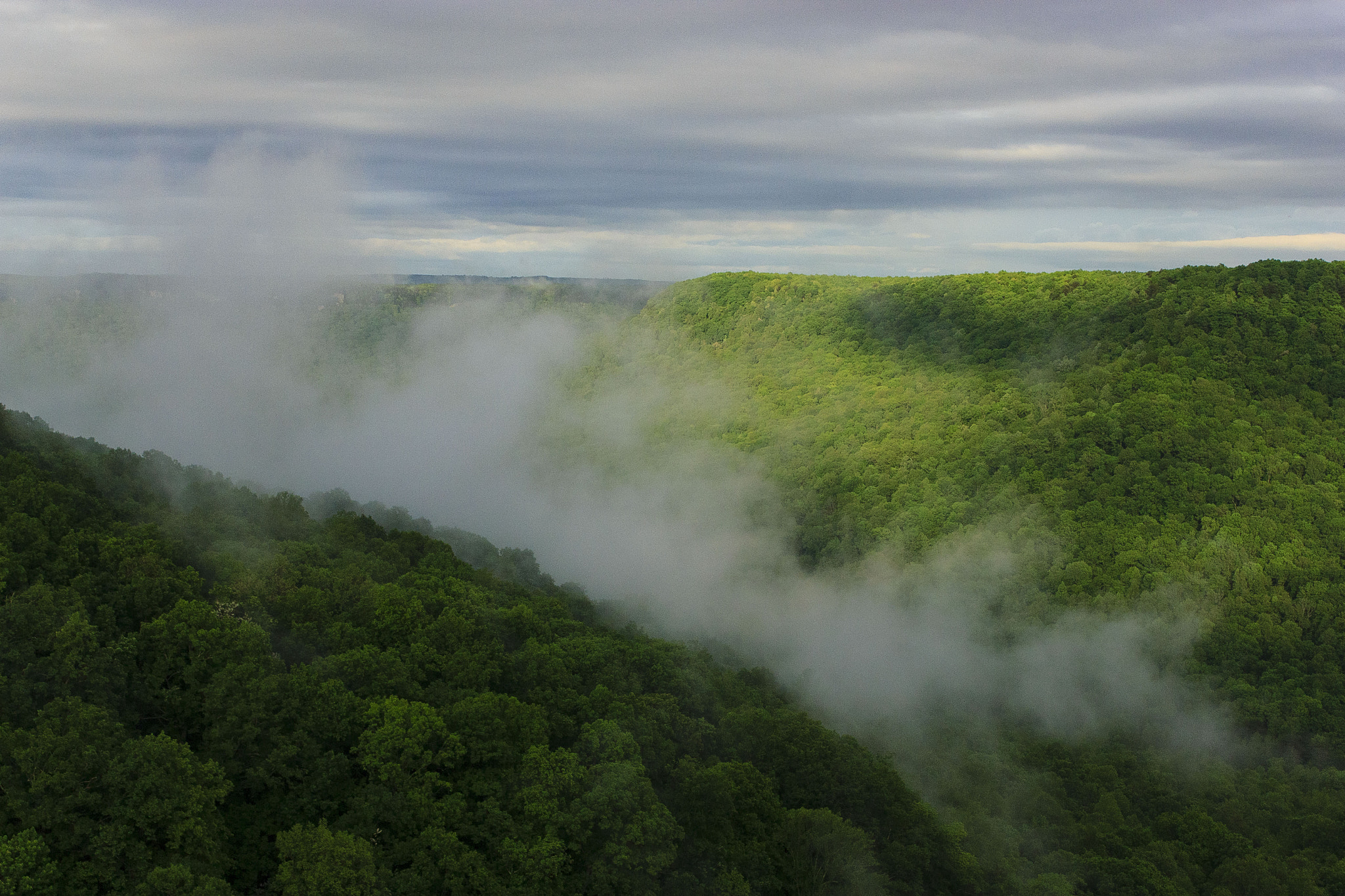 Canon EF 35-80mm f/4-5.6 sample photo. Steamy photography