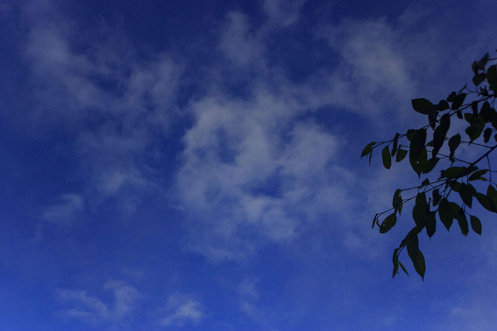 Canon EF 35-80mm f/4-5.6 sample photo. Steamy clouds photography