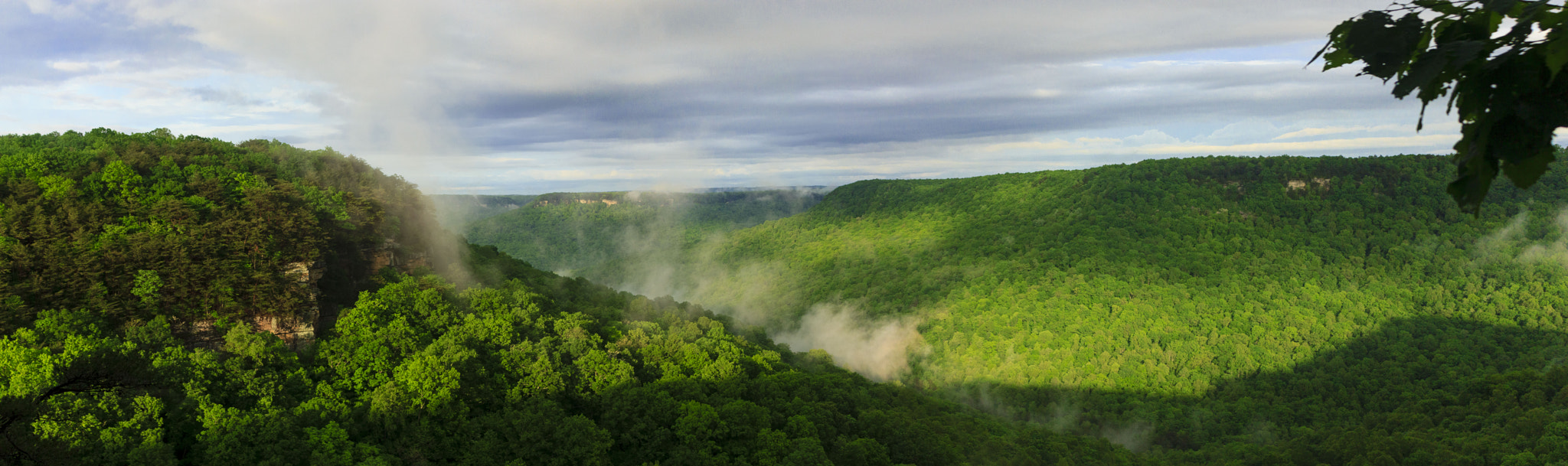 Canon EF 35-80mm f/4-5.6 sample photo. Steamy savage gulf photography