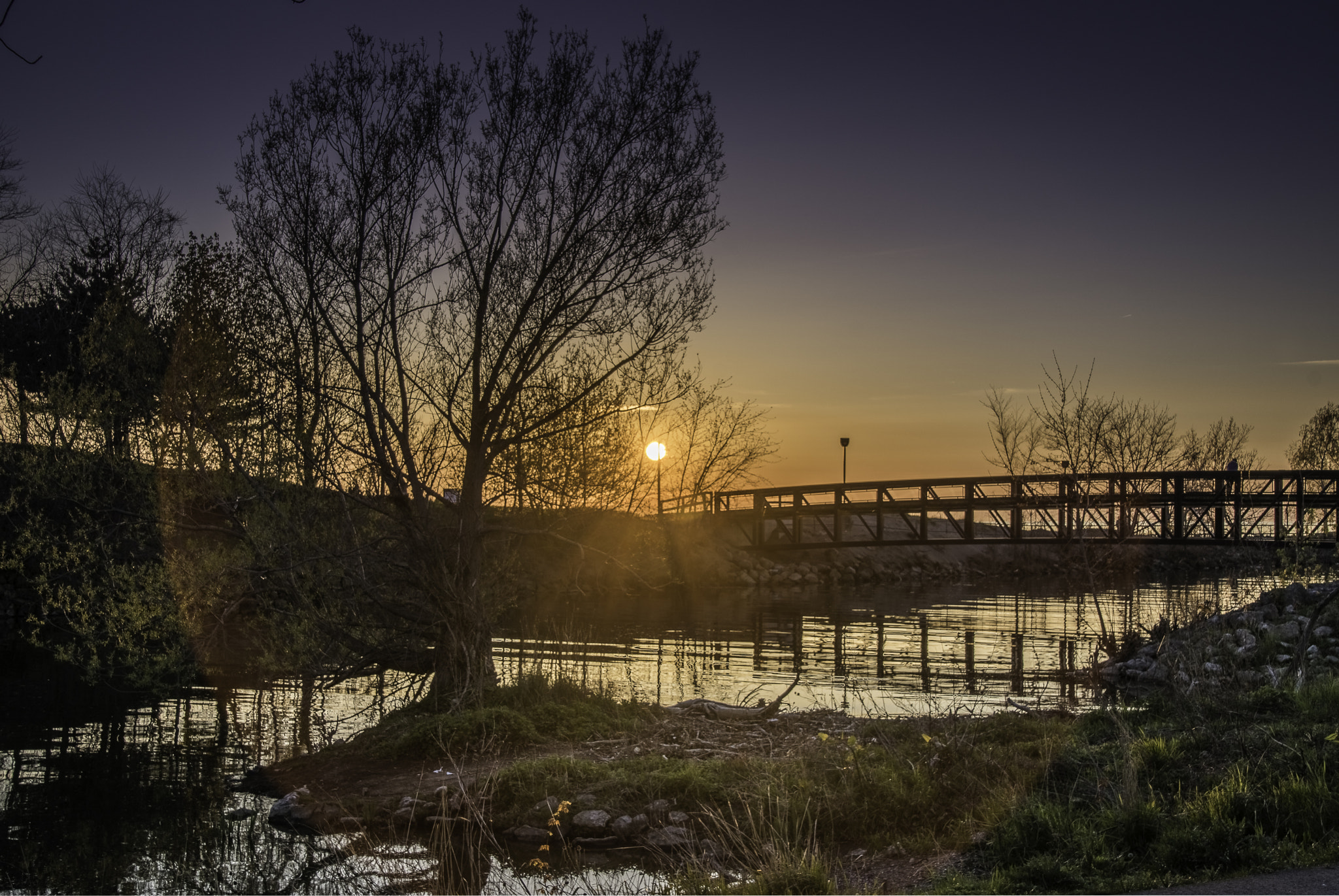 Tamron 18-270mm F3.5-6.3 Di II PZD sample photo. Leaving wildwood photography