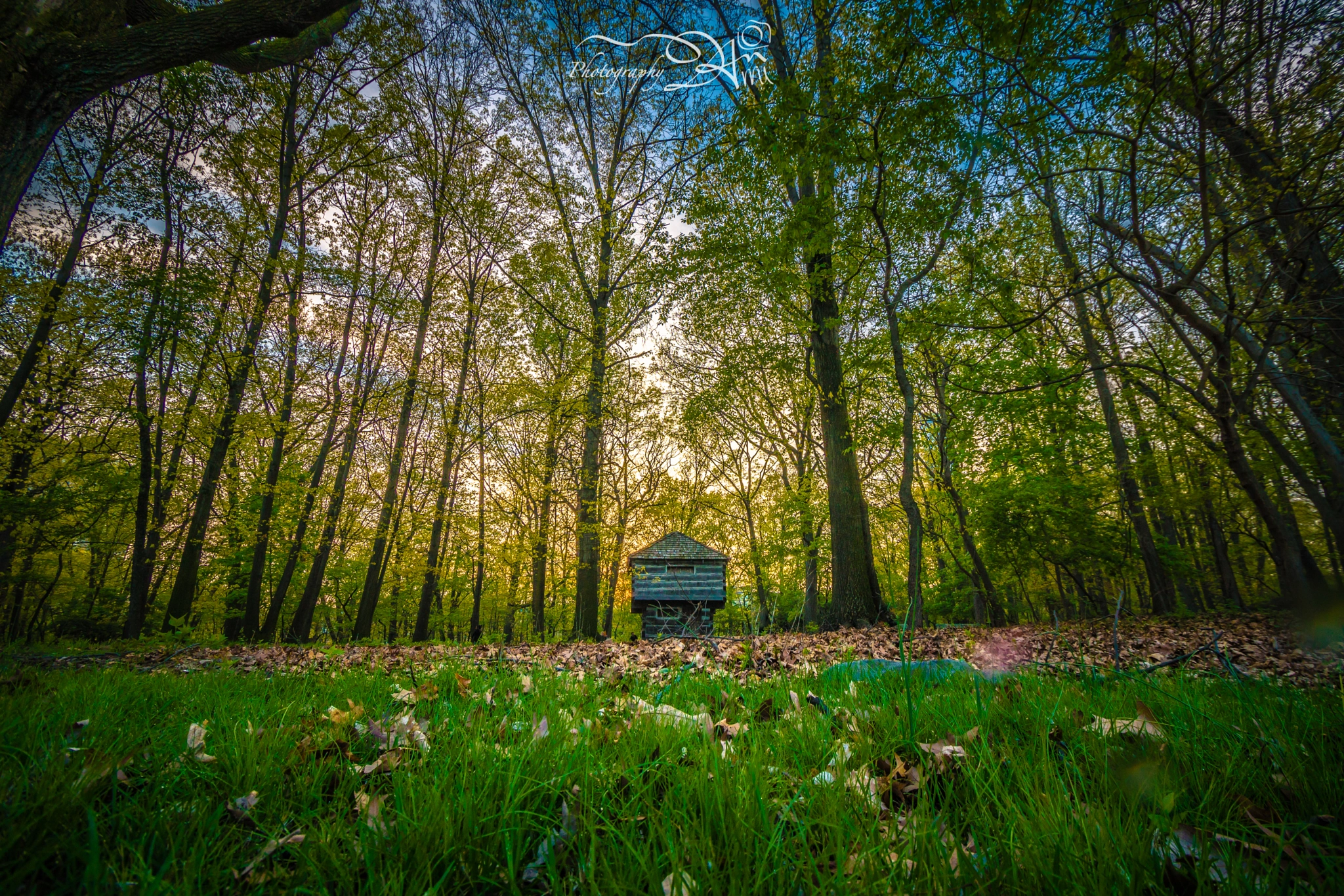 Sony a6300 + Sony DT 50mm F1.8 SAM sample photo. Lonely house photography