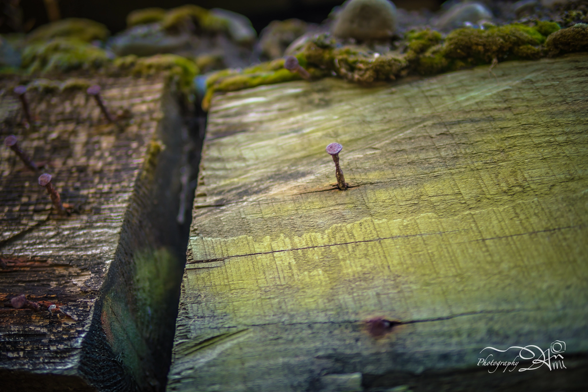 30mm F1.4 DC DN | Contemporary 016 sample photo. Alone in the other side photography