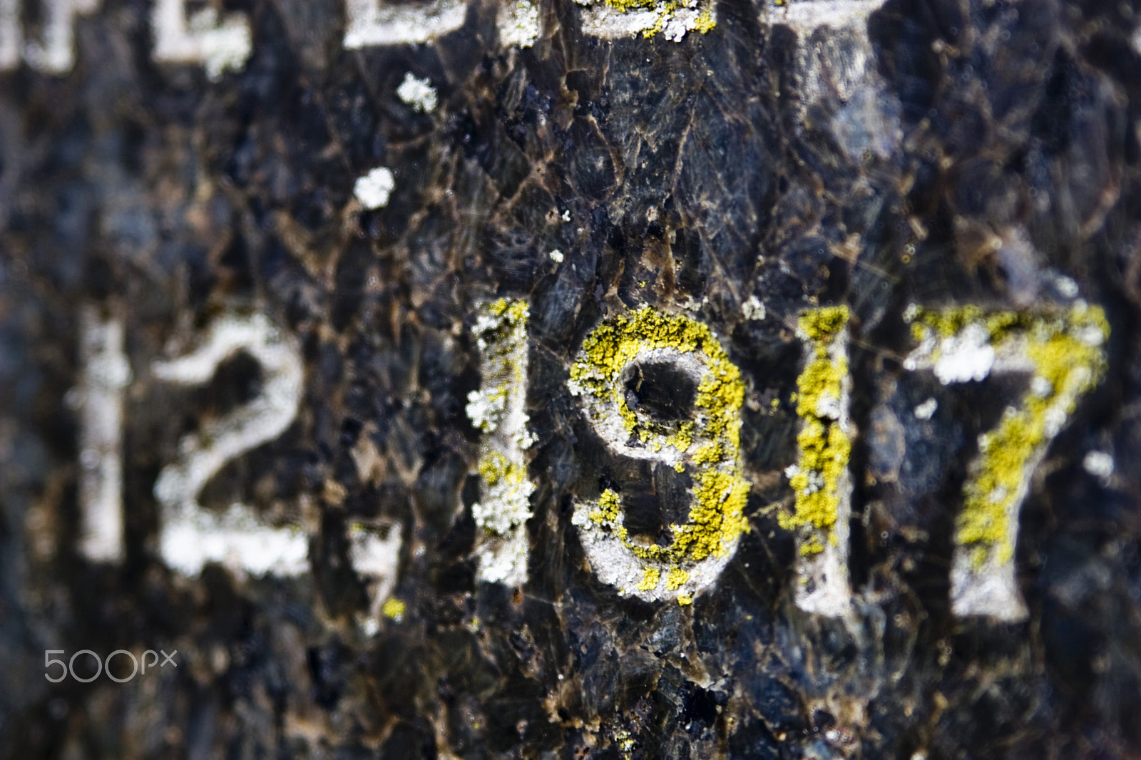 Canon EF 28-105mm f/3.5-4.5 USM sample photo. 1917 photography