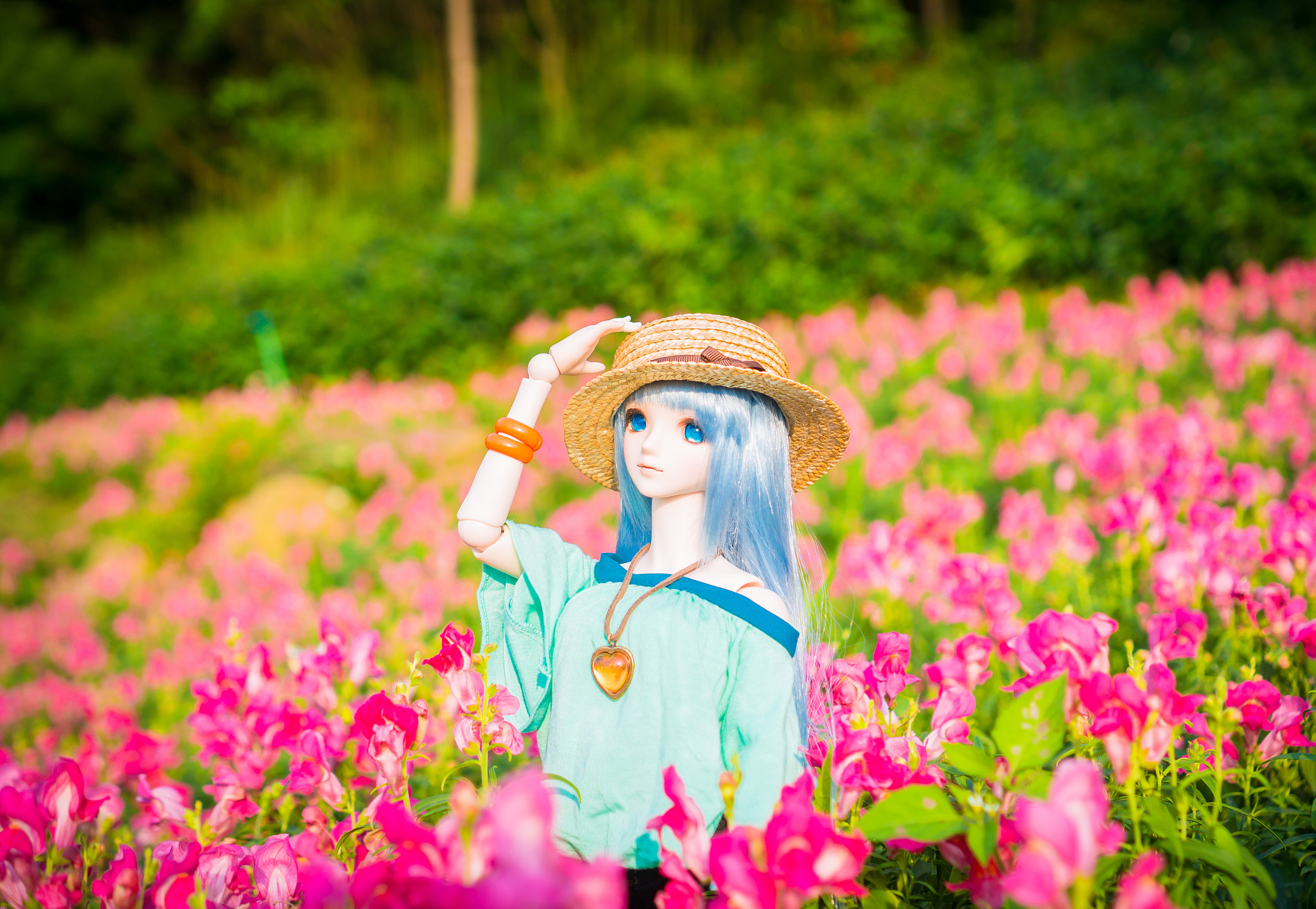 Sony Alpha NEX-6 + Sony E 35mm F1.8 OSS sample photo. Cymbidium ssp photography