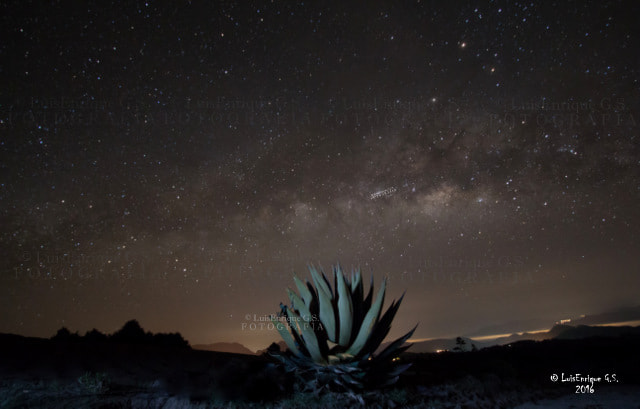 Canon EF-S 10-22mm F3.5-4.5 USM sample photo. Mayahuel - pencas de maguey nutriendo la vía láctea - méxico photography