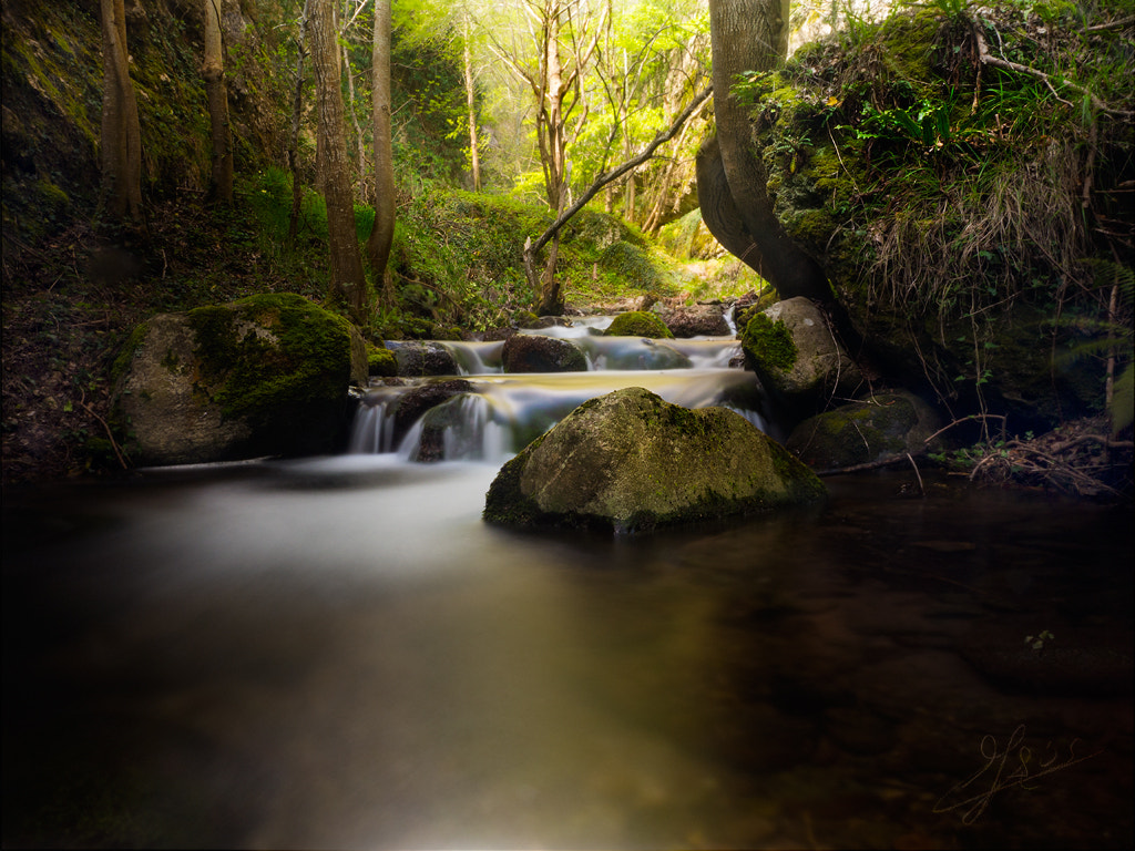 Panasonic Lumix DMC-GH3 sample photo. Saltolagua photography