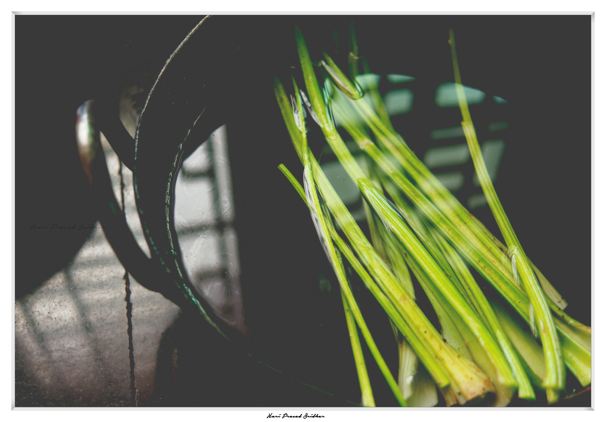 Sony DT 30mm F2.8 Macro SAM sample photo. " celery " photography