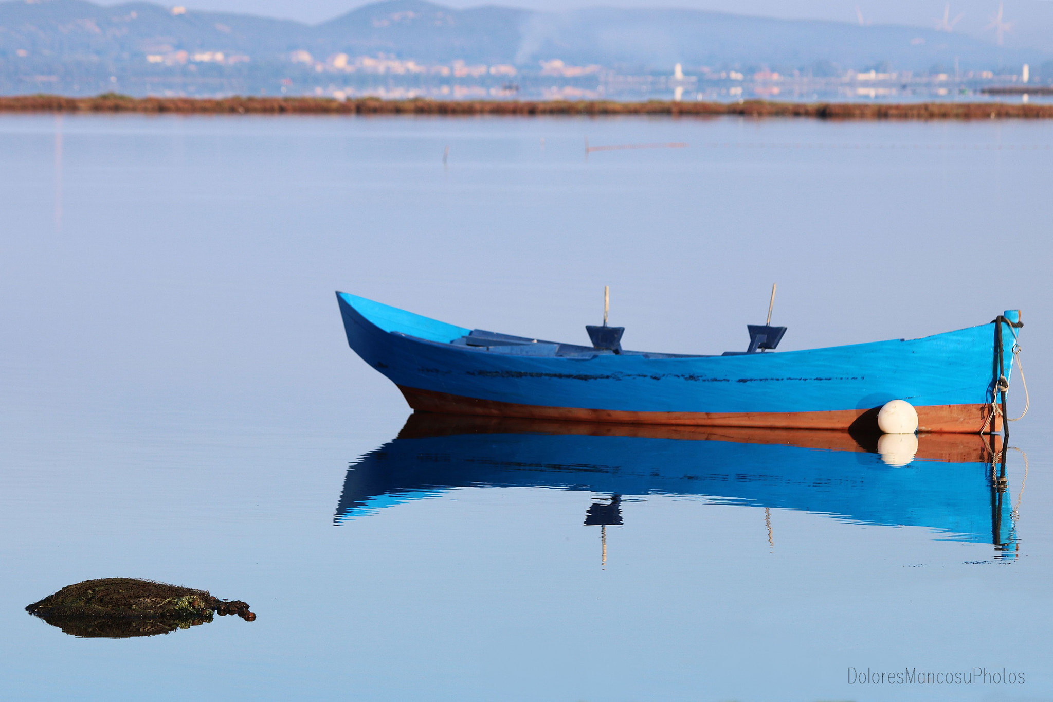 Canon EF 70-300mm F4-5.6 IS USM sample photo. The horizon photography