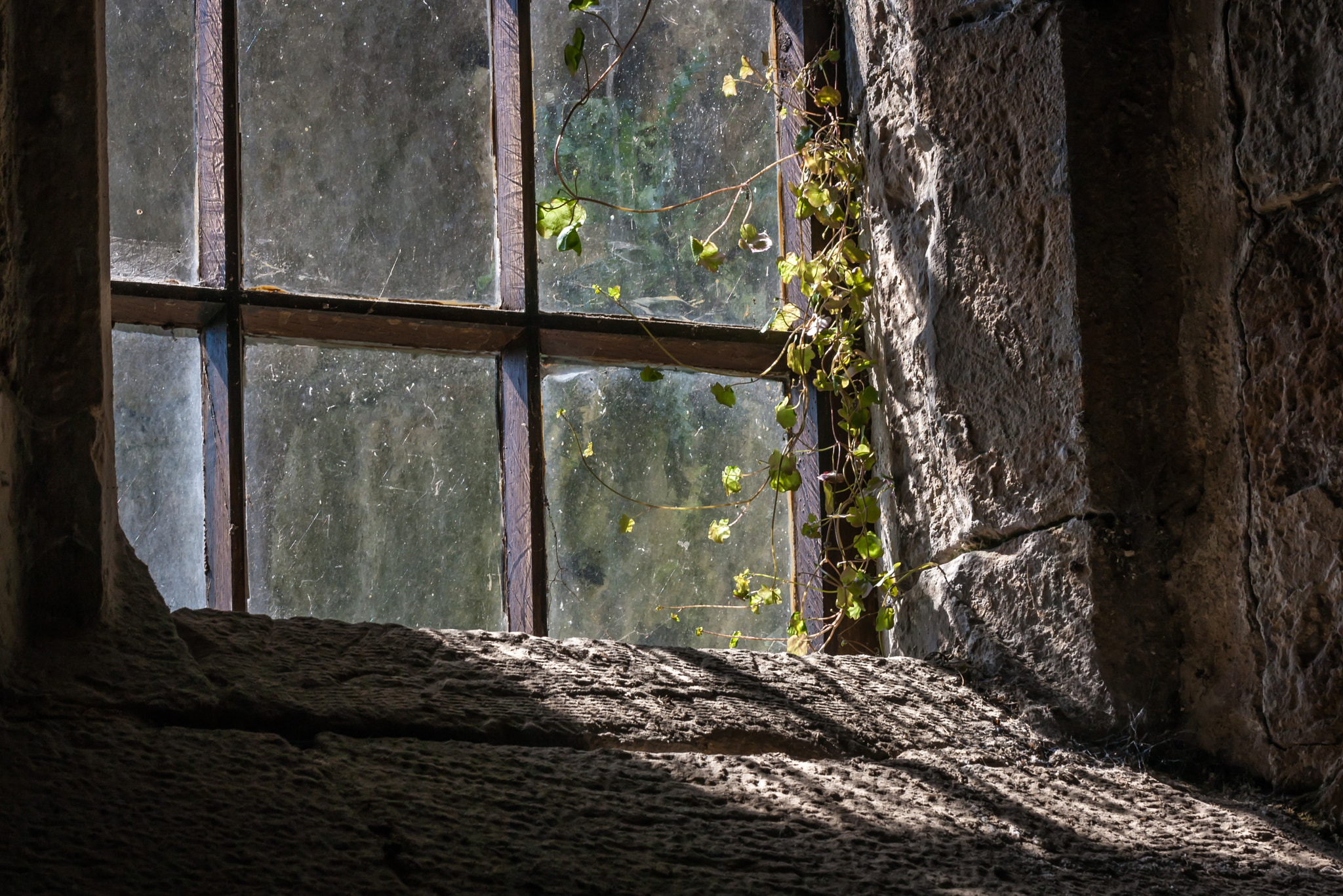 Canon EOS 1000D (EOS Digital Rebel XS / EOS Kiss F) sample photo. "you can't keep everything outside..." photography