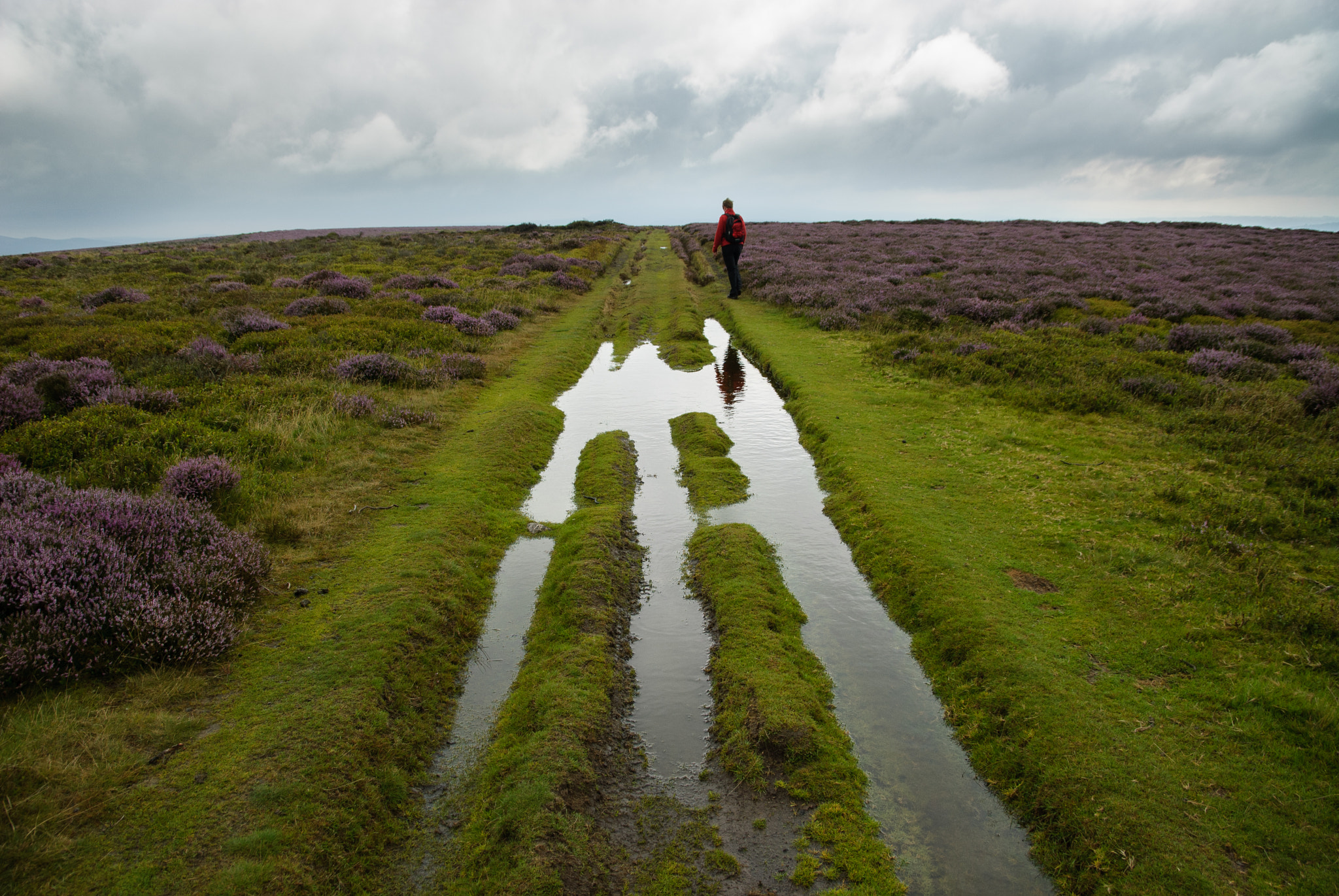 Nikon D200 sample photo. Long mynd photography