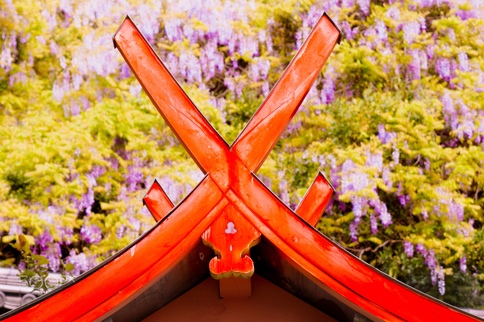 Tamron SP 70-300mm F4-5.6 Di USD sample photo. Shrine color on spring color photography