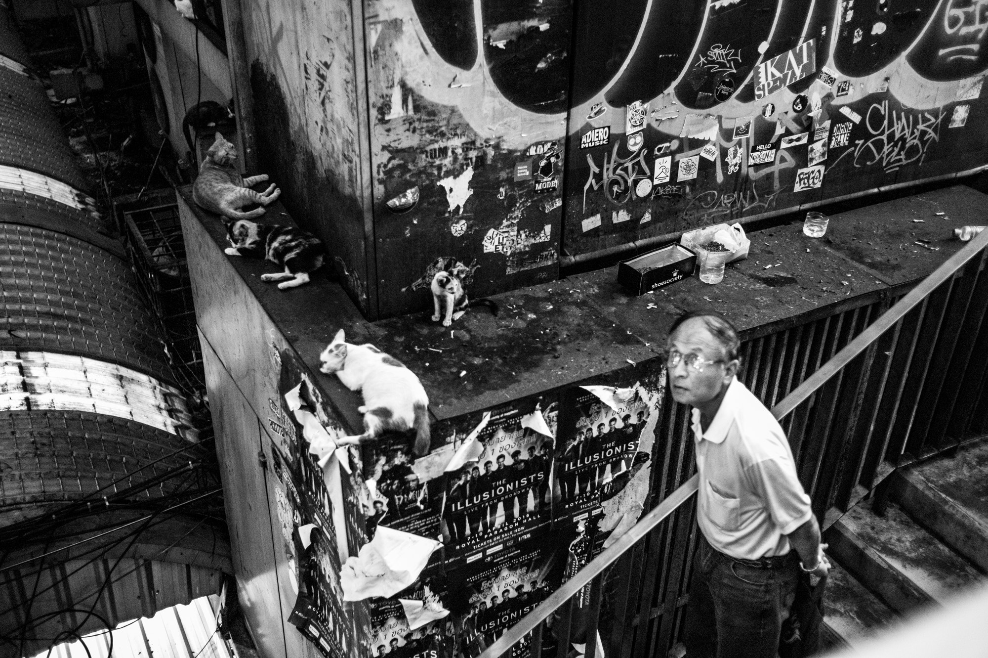 Leica Summicron-M 35mm F2 ASPH sample photo. Of man, cats and illusionists photography