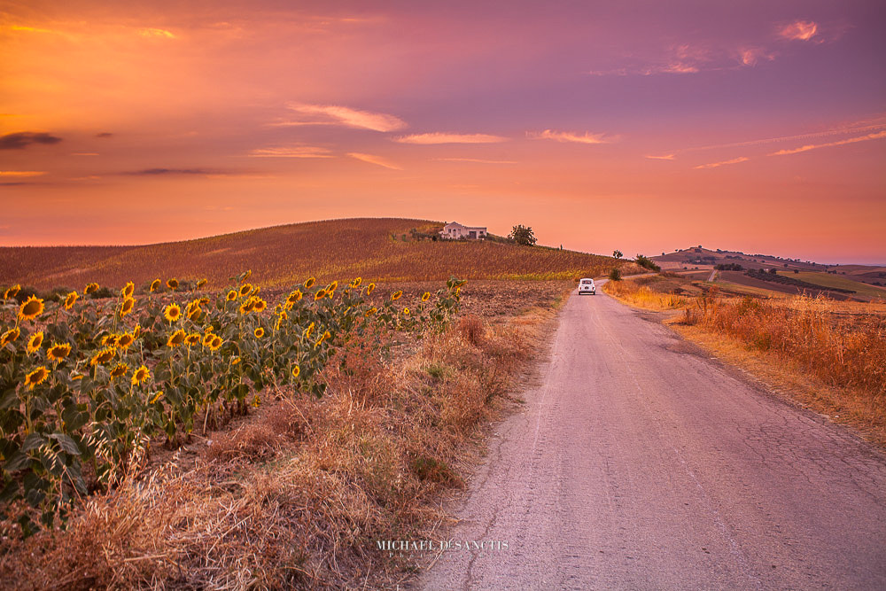 Canon EF 28mm F2.8 sample photo. Through molisane campaigns photography
