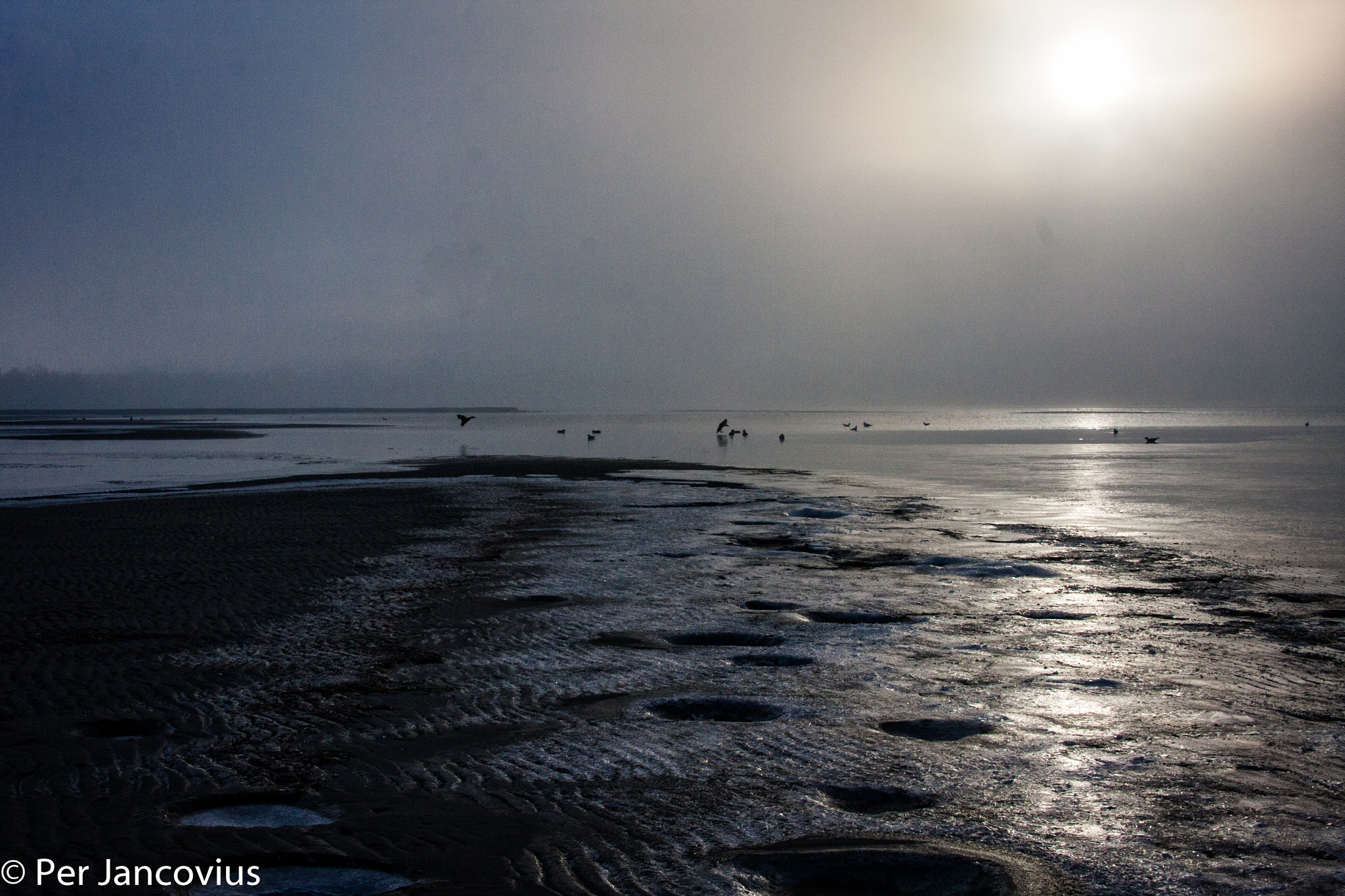 Canon EOS 40D sample photo. Lomma beach, a grey day photography