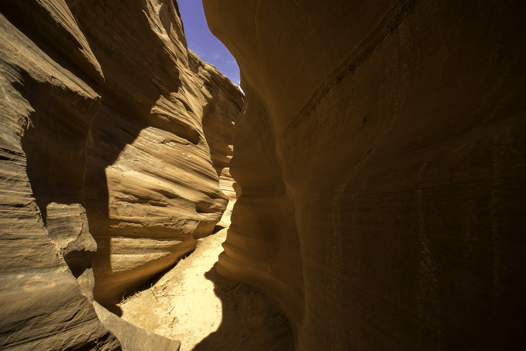 Nikon D750 + Nikon AF Nikkor 14mm F2.8D ED sample photo. Dsc_2797.jpg photography