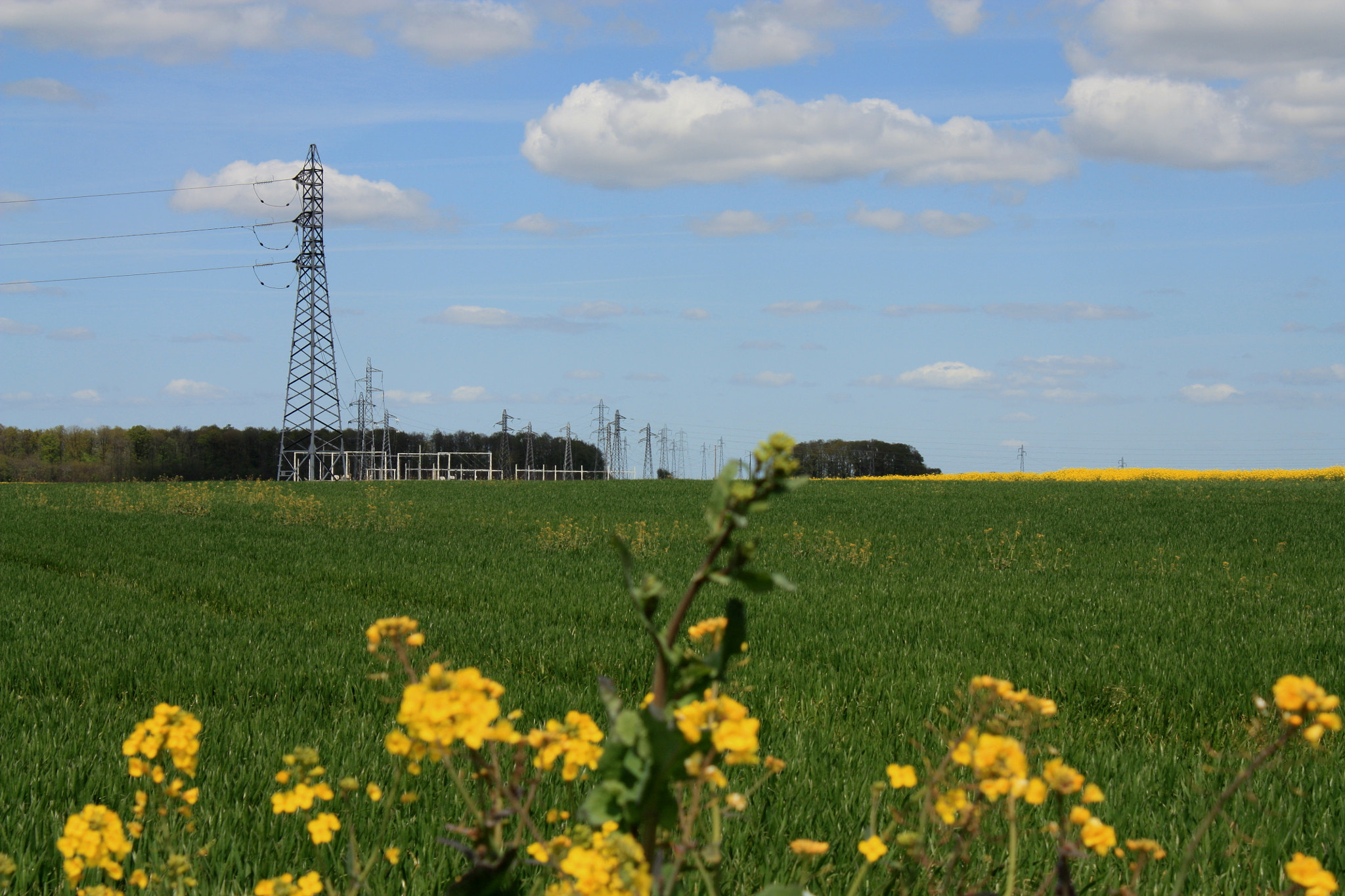 Canon EF-S 18-55mm F3.5-5.6 IS sample photo. "la nature a repris des couleurs " photography
