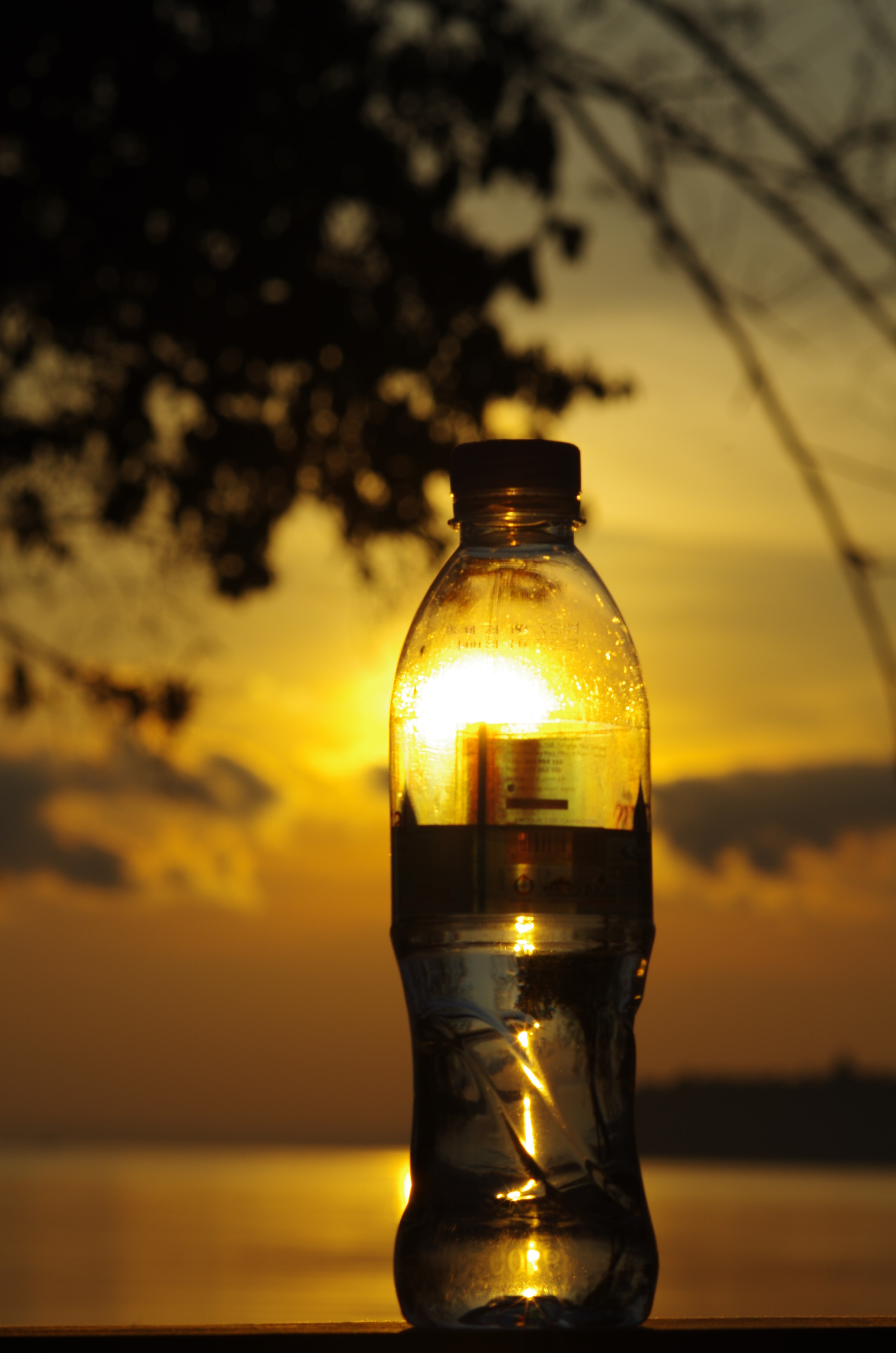 Pentax K-5 + smc PENTAX-FA Macro 100mm F2.8 sample photo. Sunshine photography