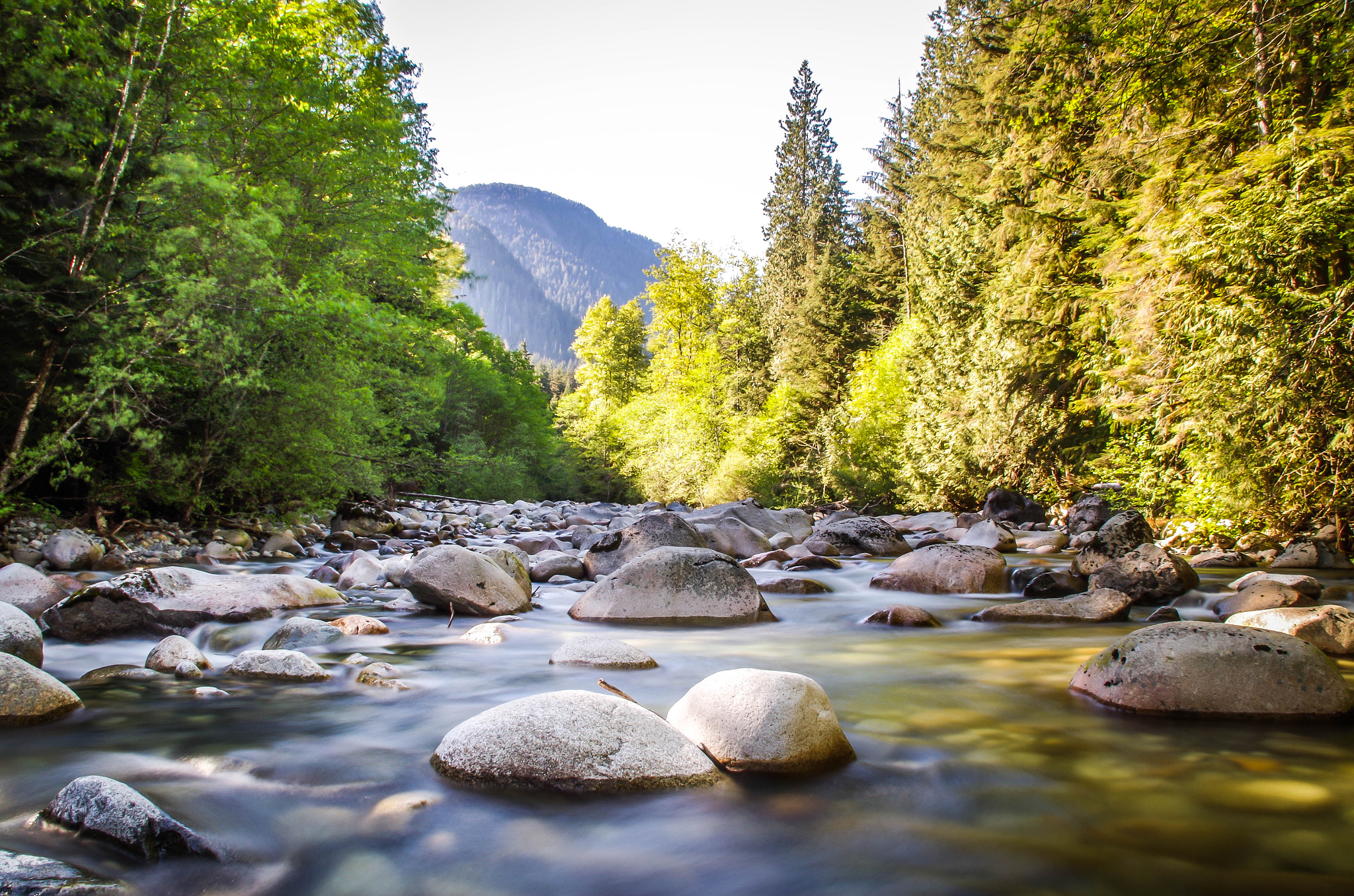 Pentax K-30 sample photo. Amidst nature photography