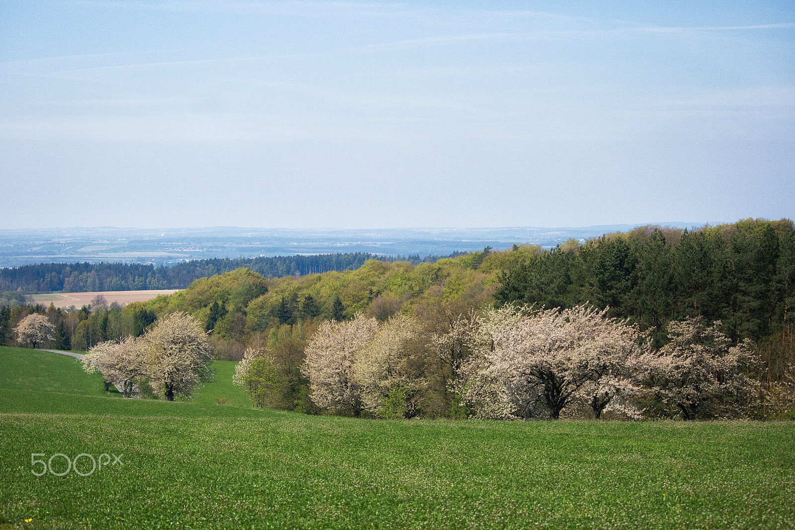 Canon EF-S 55-250mm F4-5.6 IS STM sample photo. Spring at the foothills of orlicke mountains photography