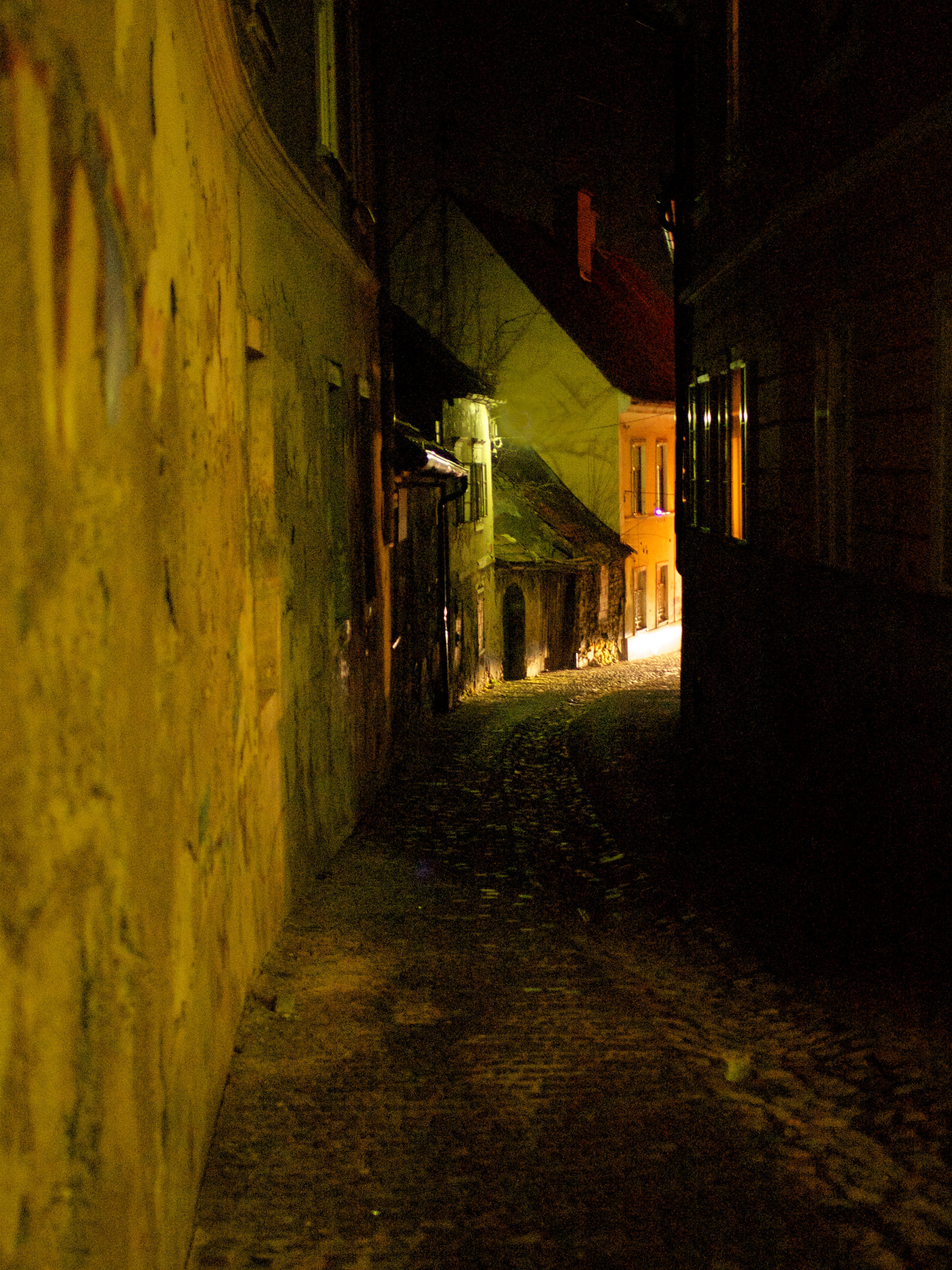 Olympus E-30 + Panasonic Leica D Summilux Asph 25mm F1.4 sample photo. Maribor, slovenia at night photography