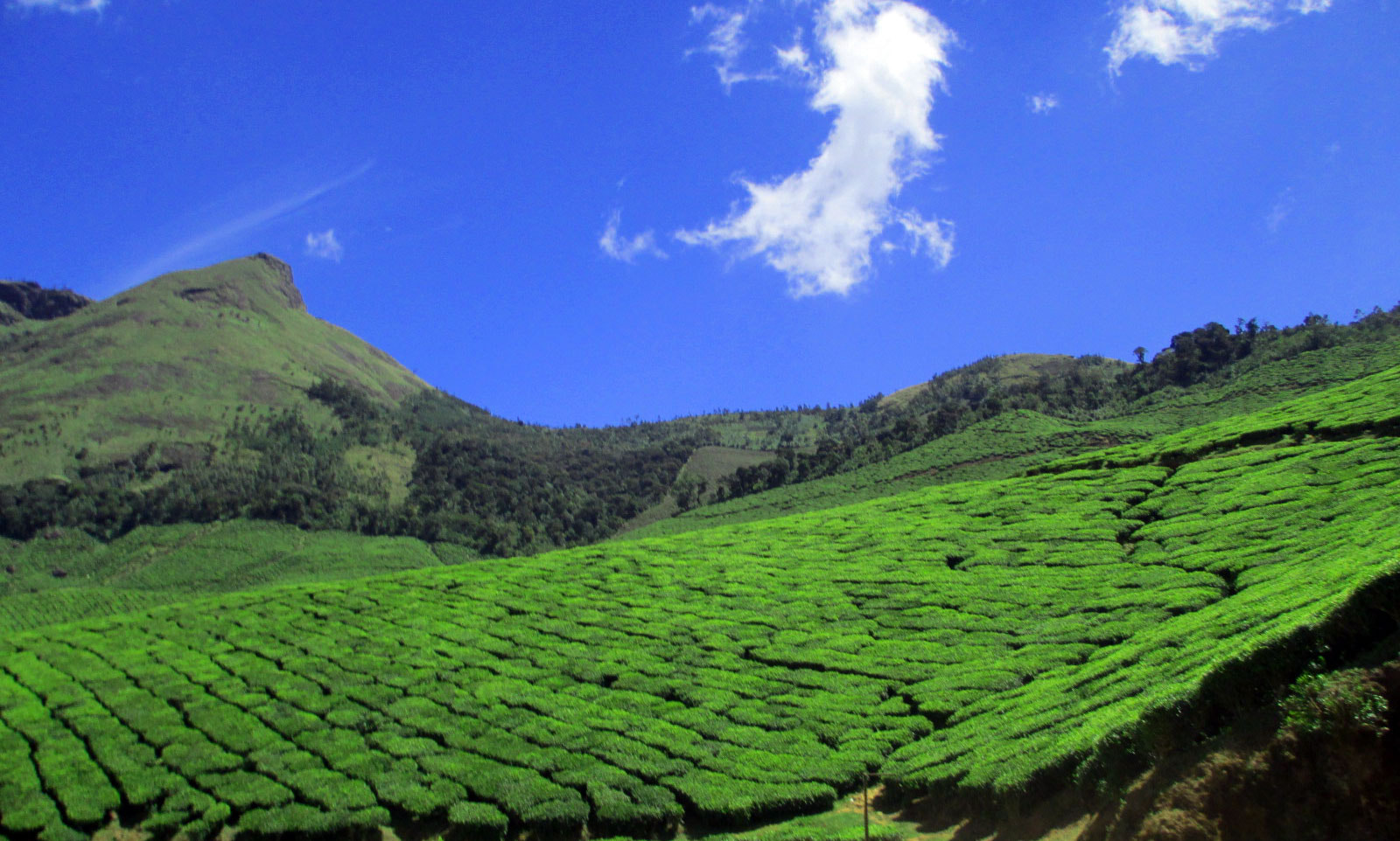 Beautiful Munnar