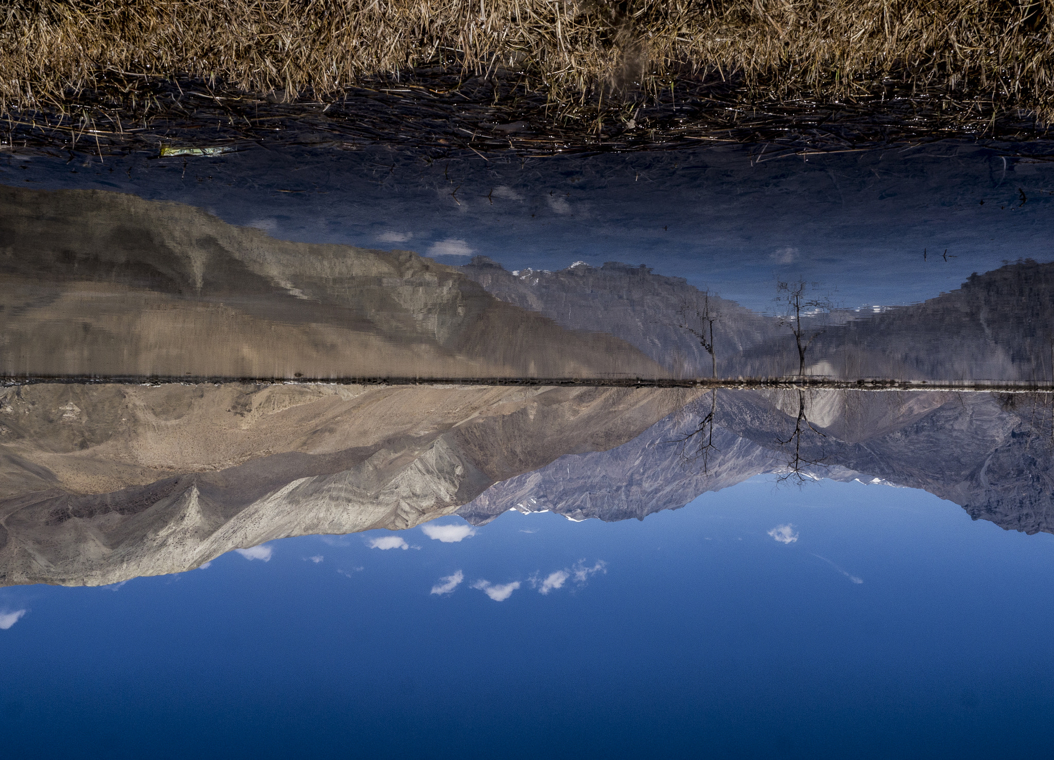 Panasonic Lumix DMC-GH2 sample photo. Upside down photography