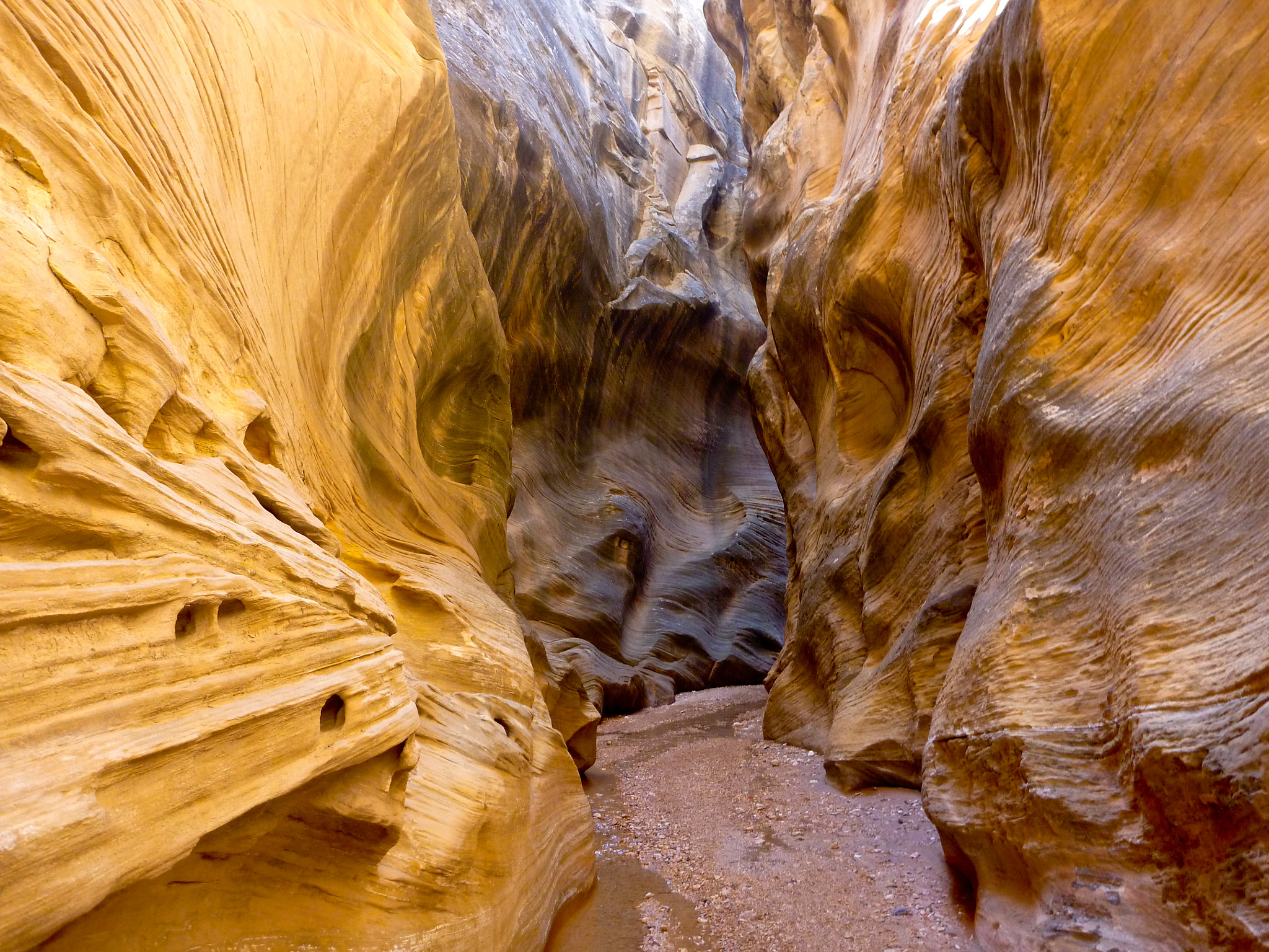 Panasonic DMC-TS2 sample photo. Willis creek slot canyon photography