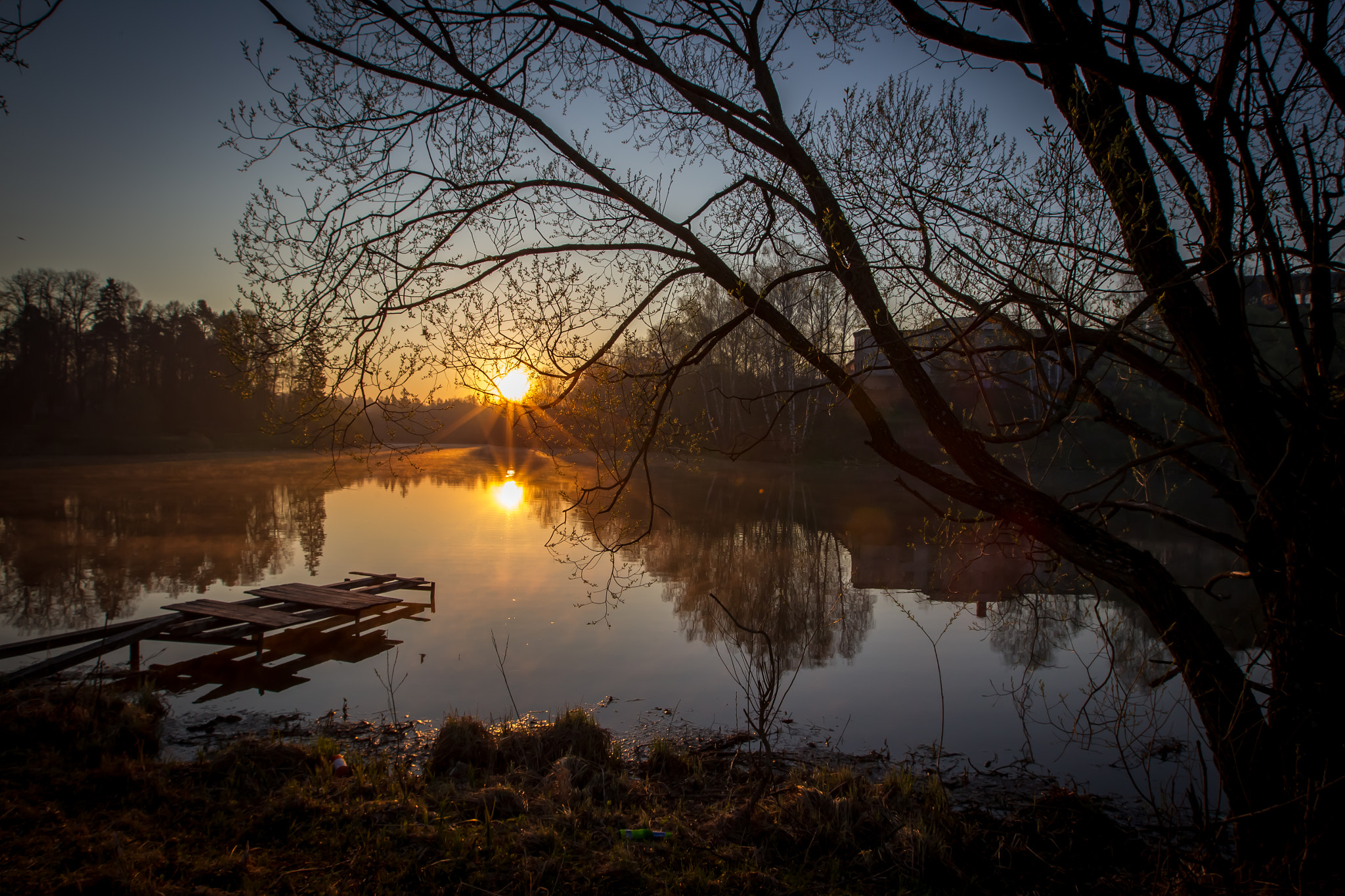 Canon EOS-1D Mark IV sample photo. Morning at skitskiy pond (утро на Скитском пруду) photography