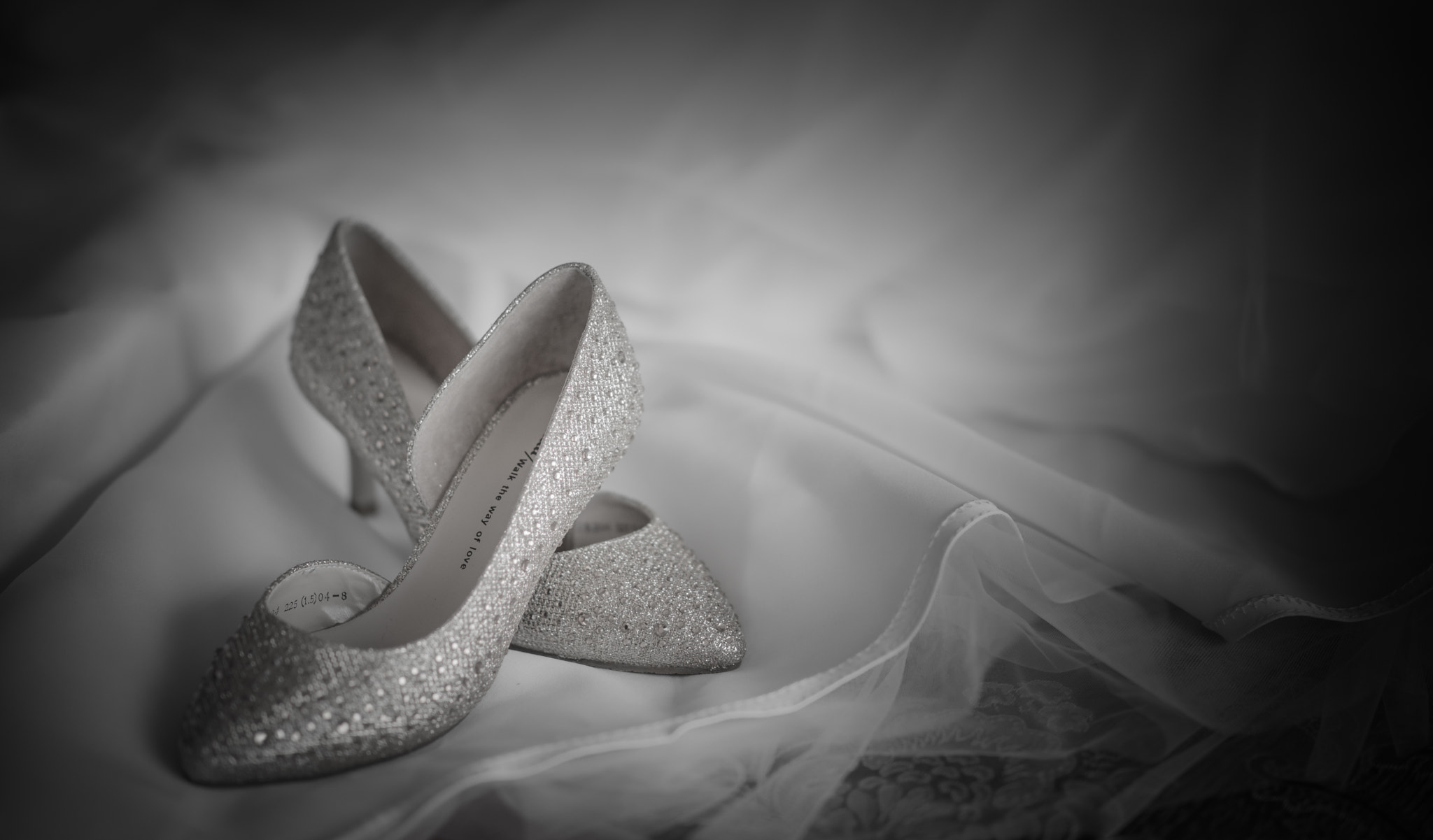 Sony Planar T* 85mm F1.4 ZA sample photo