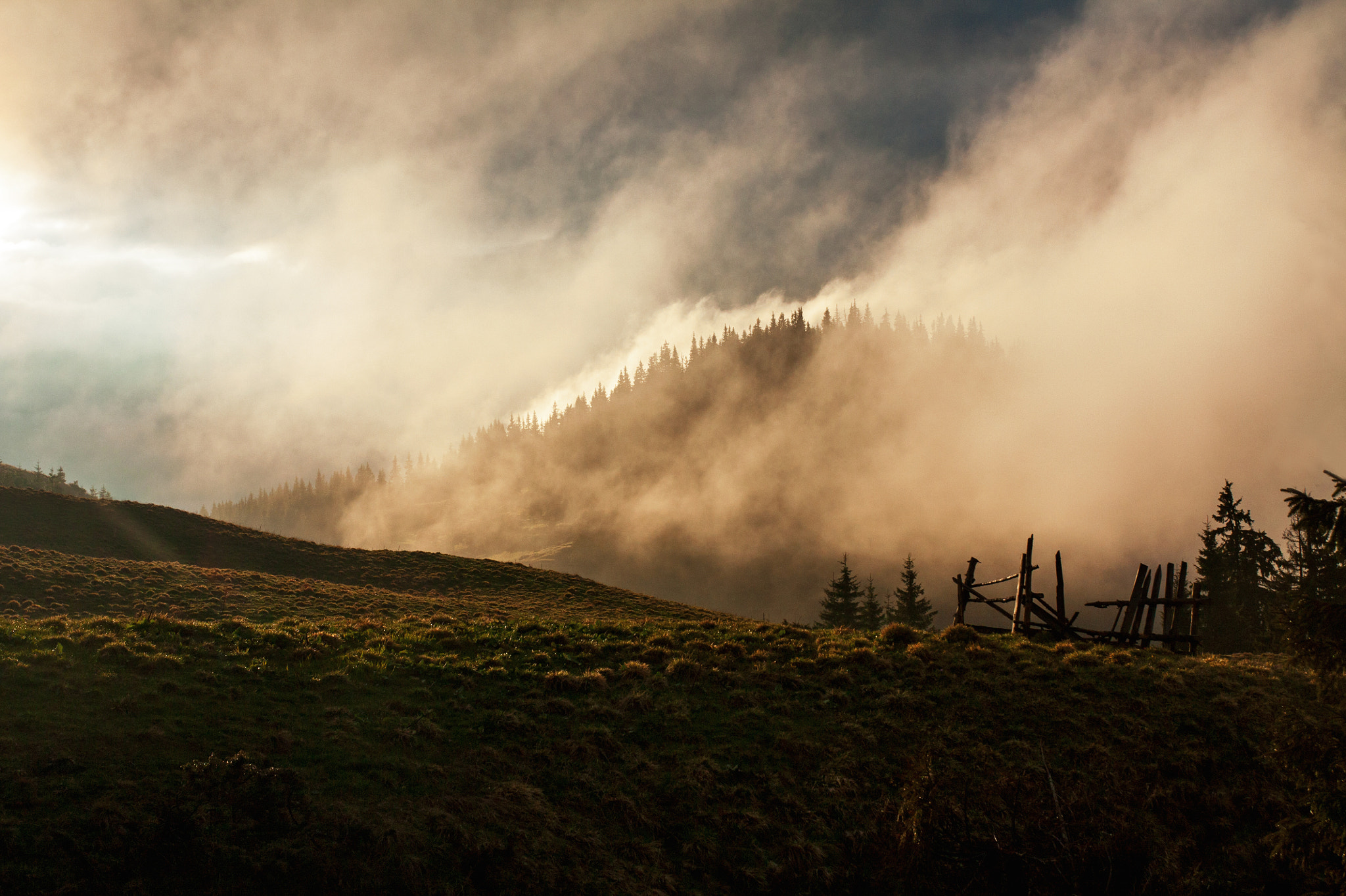 sleeping mystical beast