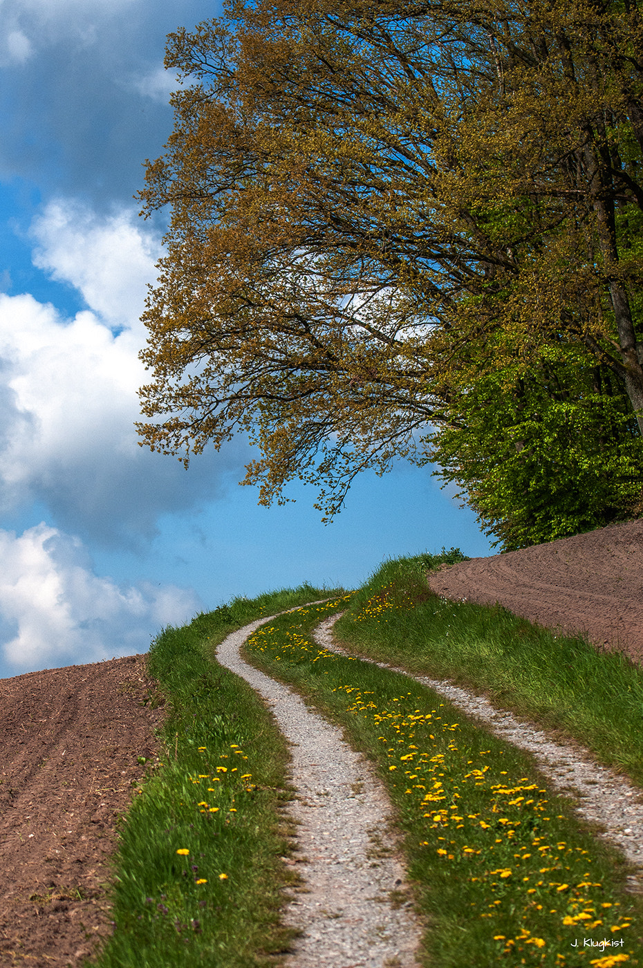 Nikon AF-S Nikkor 70-200mm F4G ED VR sample photo. Trees in springtime photography