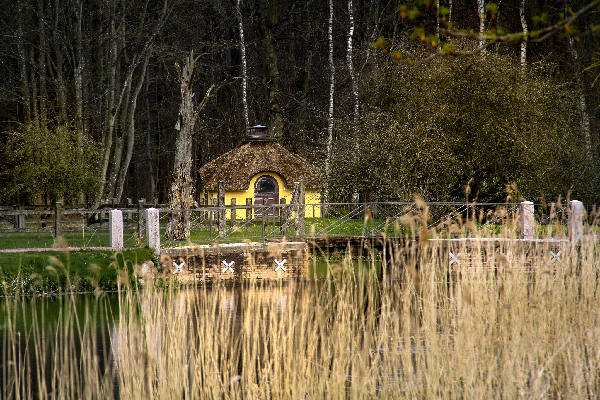 Canon EOS 1000D (EOS Digital Rebel XS / EOS Kiss F) sample photo. The little house ind the wood photography