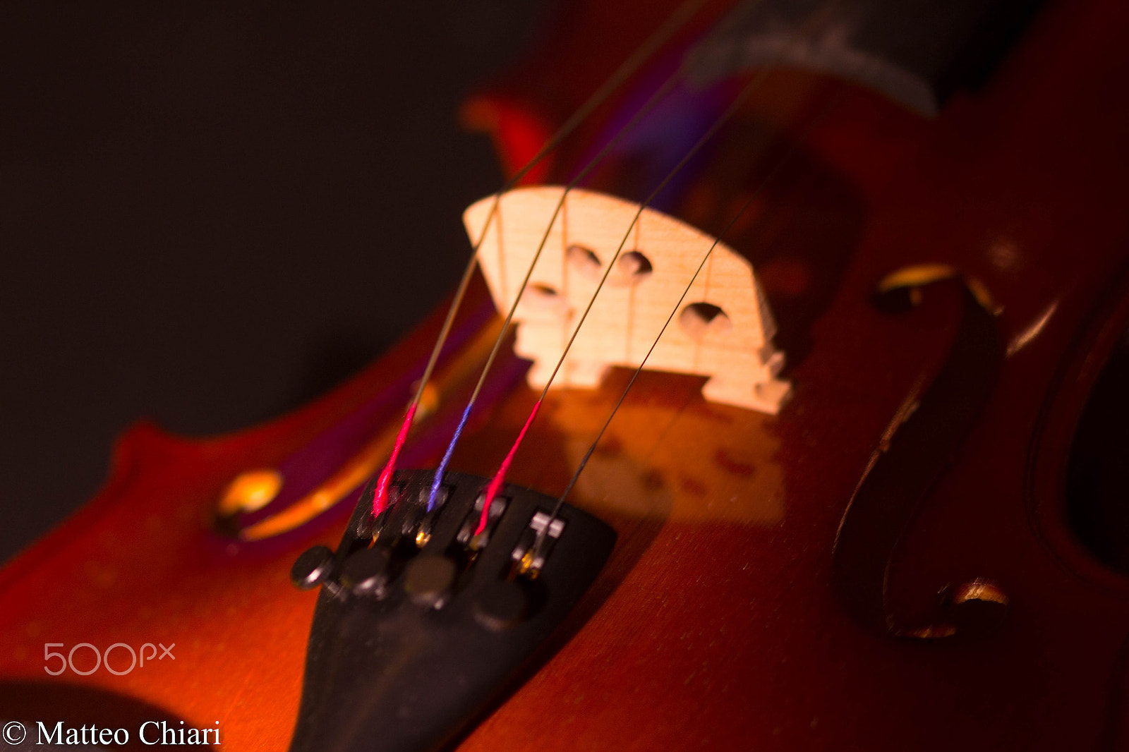 Canon EF 100mm F2.8 Macro USM sample photo. Music tension photography