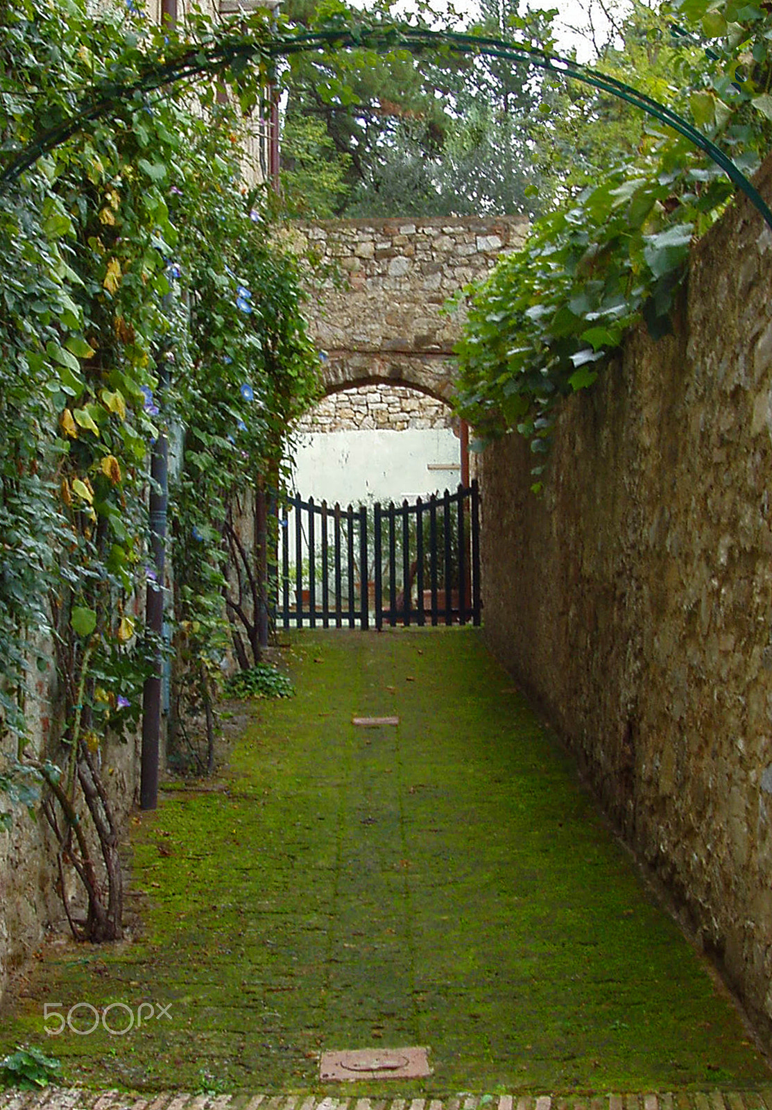 Olympus X-2,C-50Z sample photo. Secret garden photography