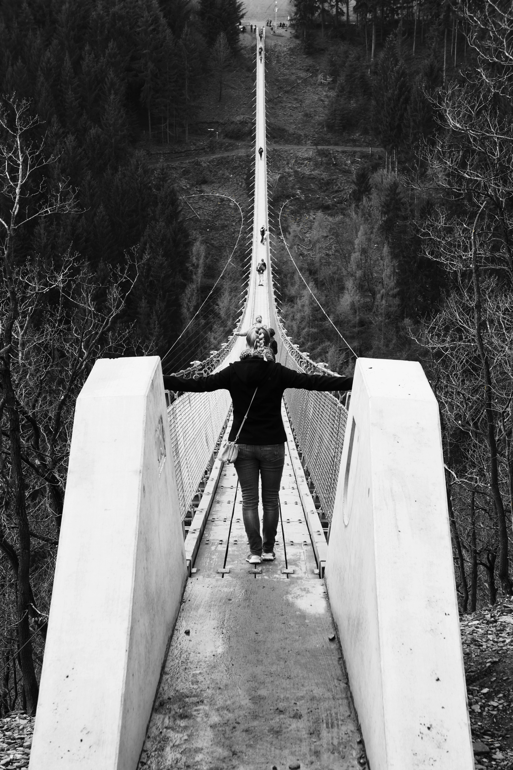 Sony E 18-55mm F3.5-5.6 OSS sample photo. Longest swingbridge in germany photography