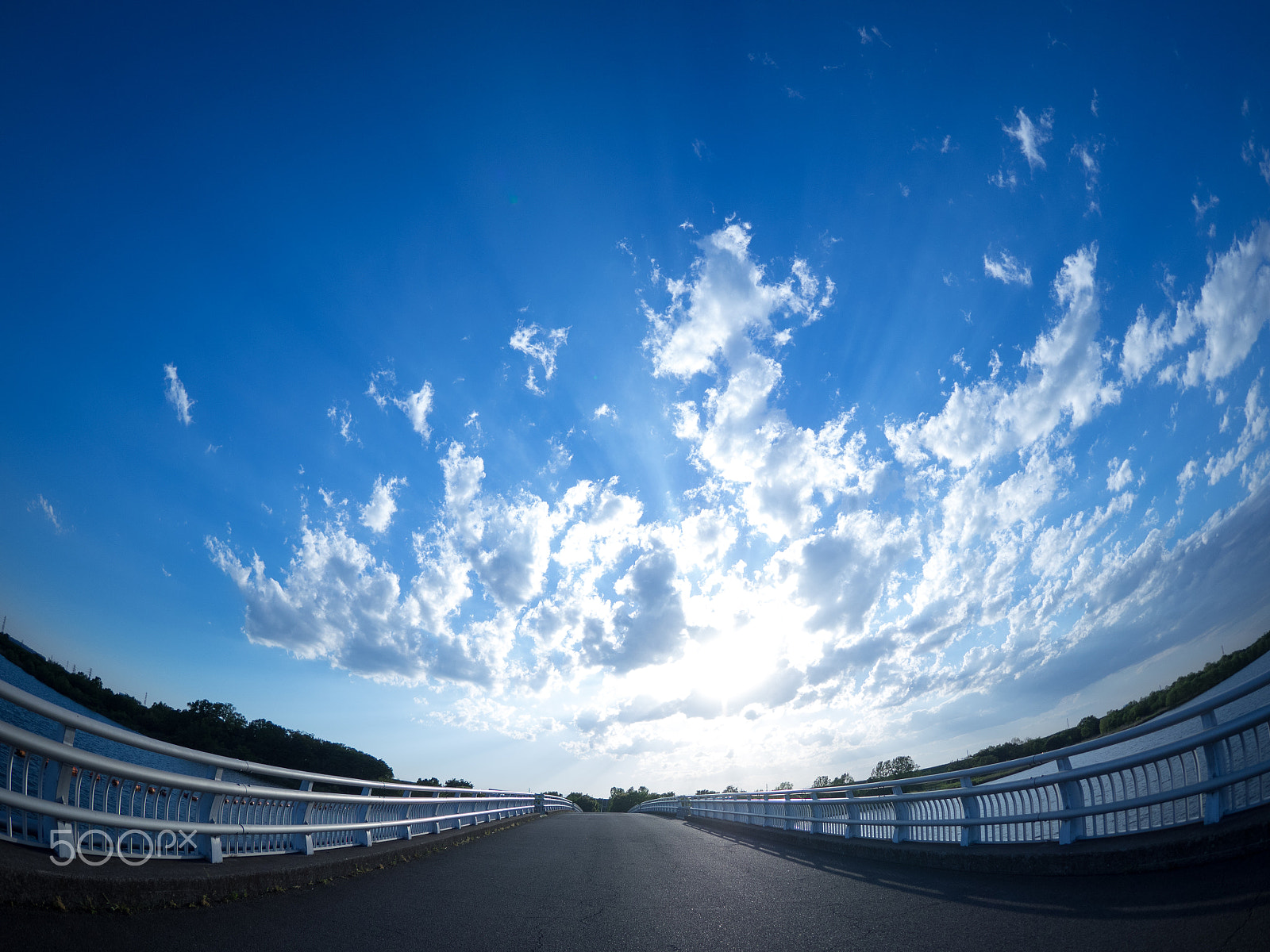 Olympus OM-D E-M1 + OLYMPUS M.8mm F1.8 sample photo. 夏が来た！ photography